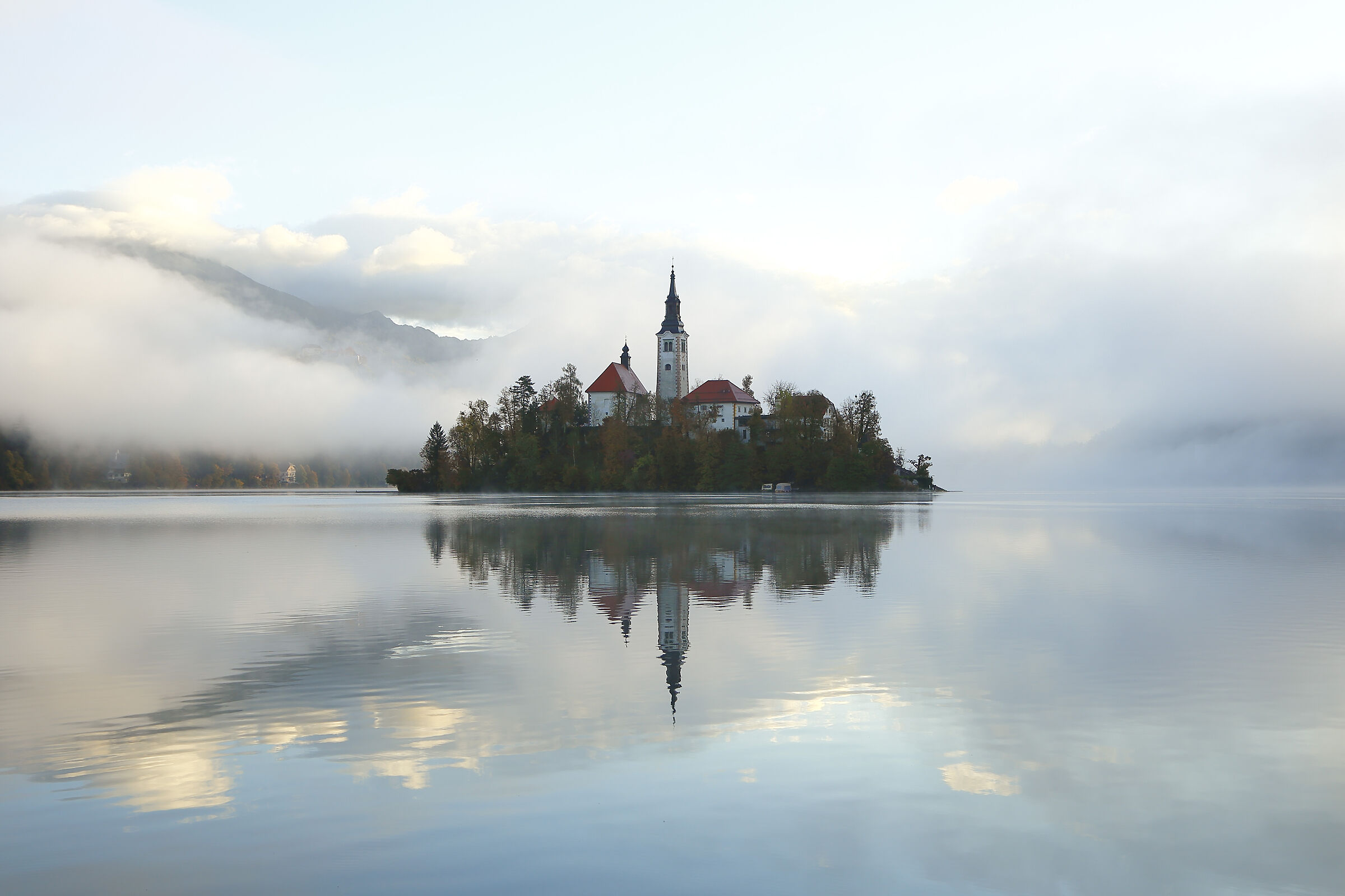 Bled at dawn today
