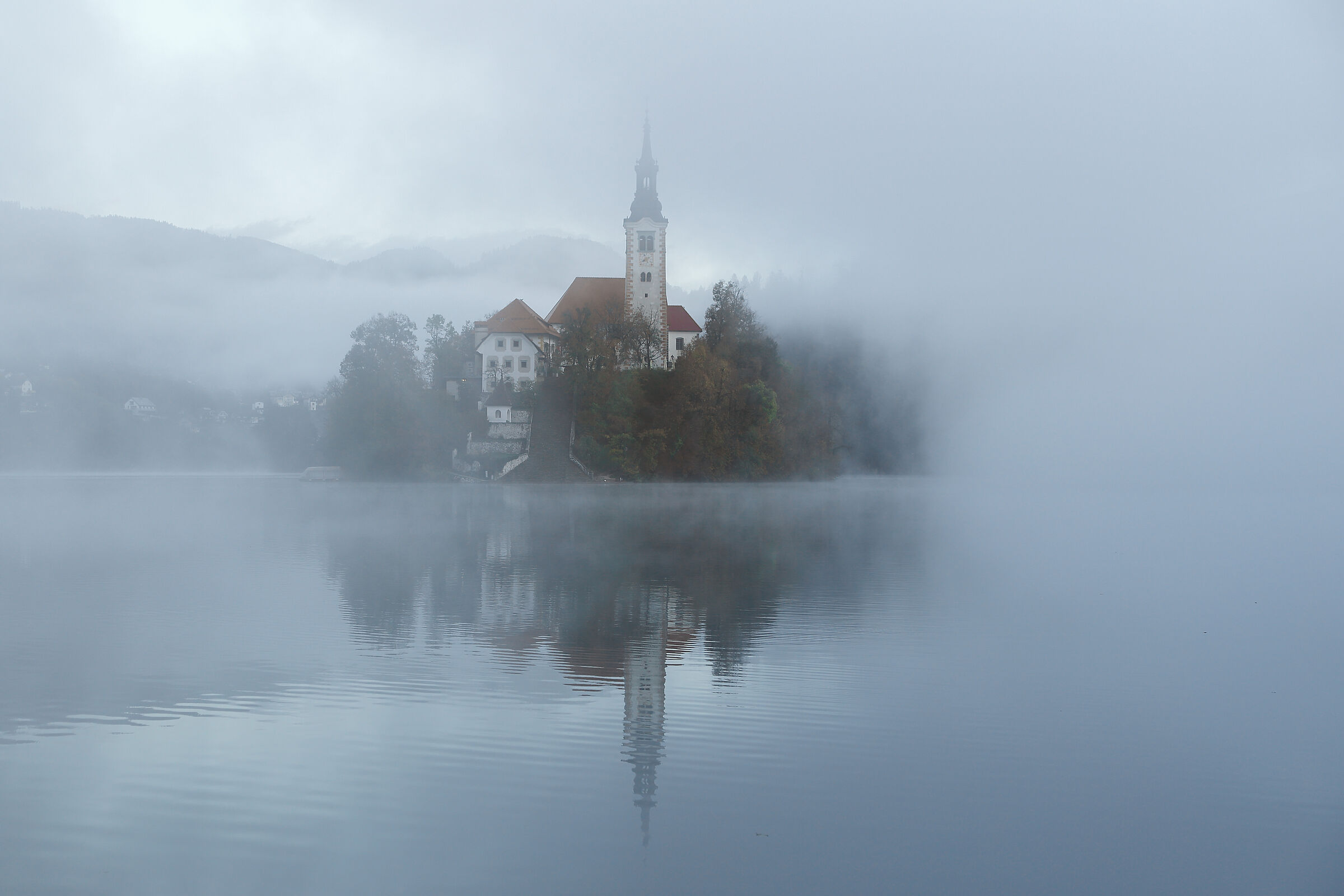 Nebbia a Bled