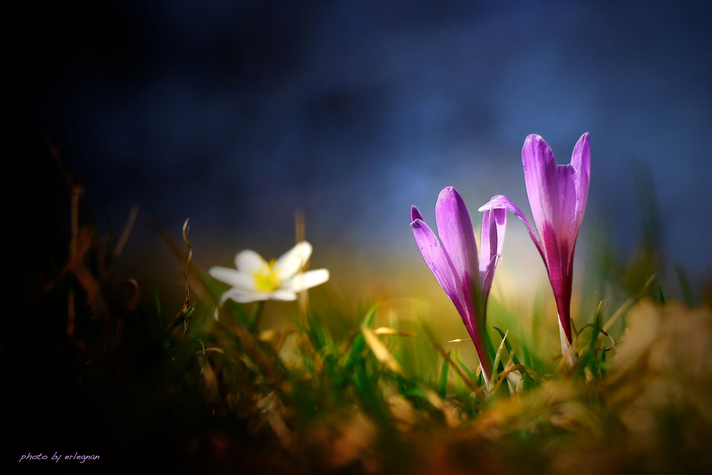 Tra luce e ombra