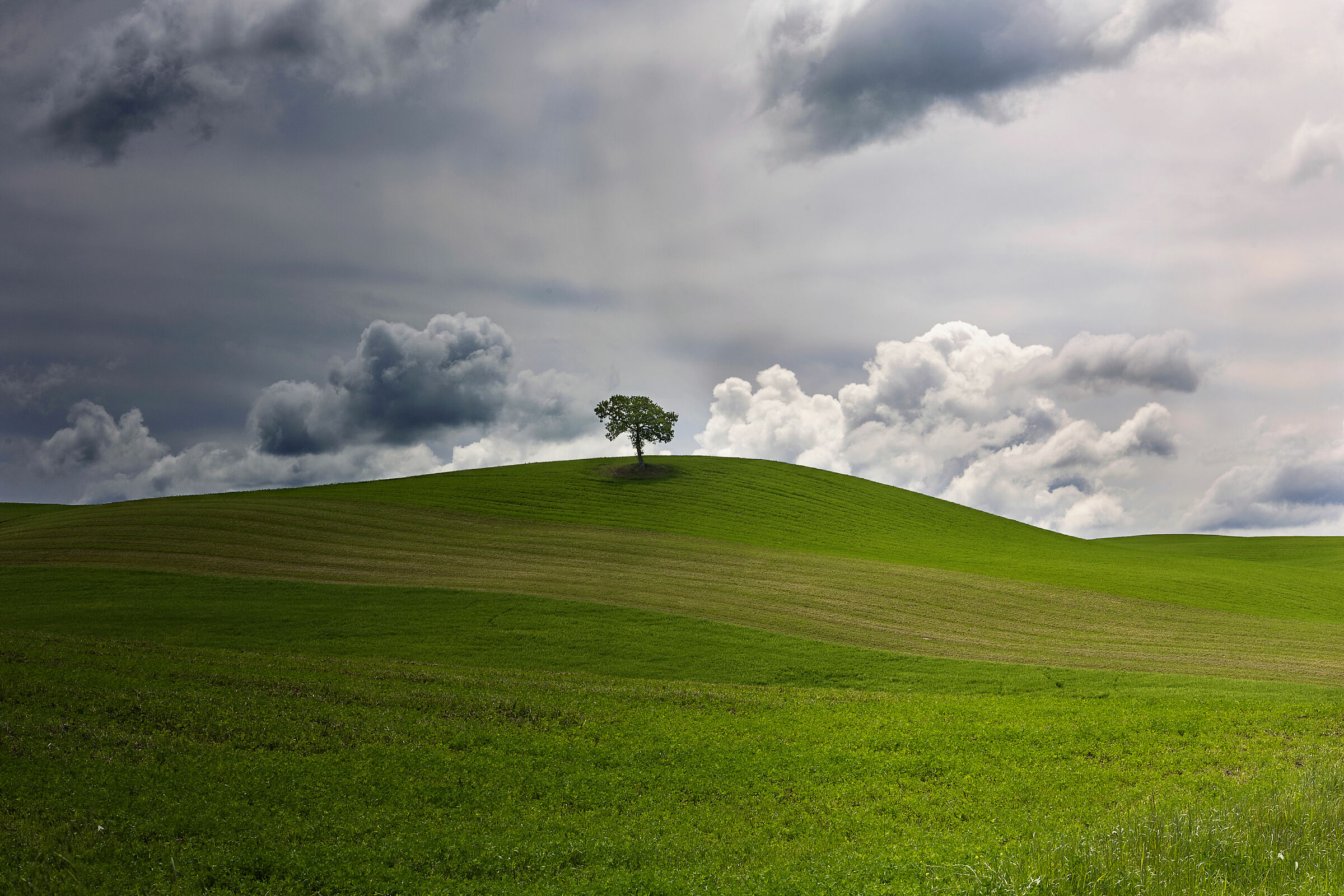 ... I remember green mountains...