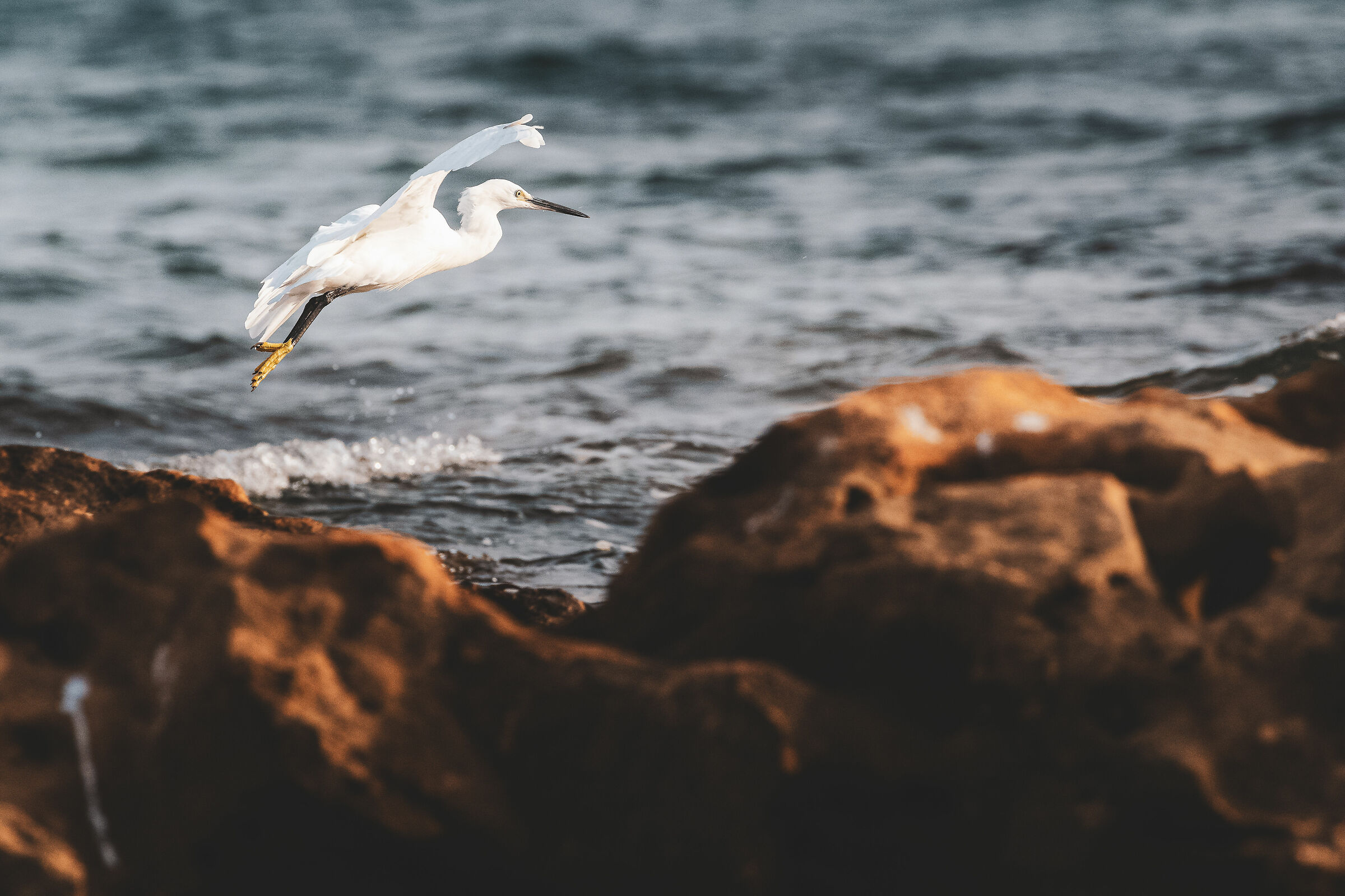 Getting Started with the Z8