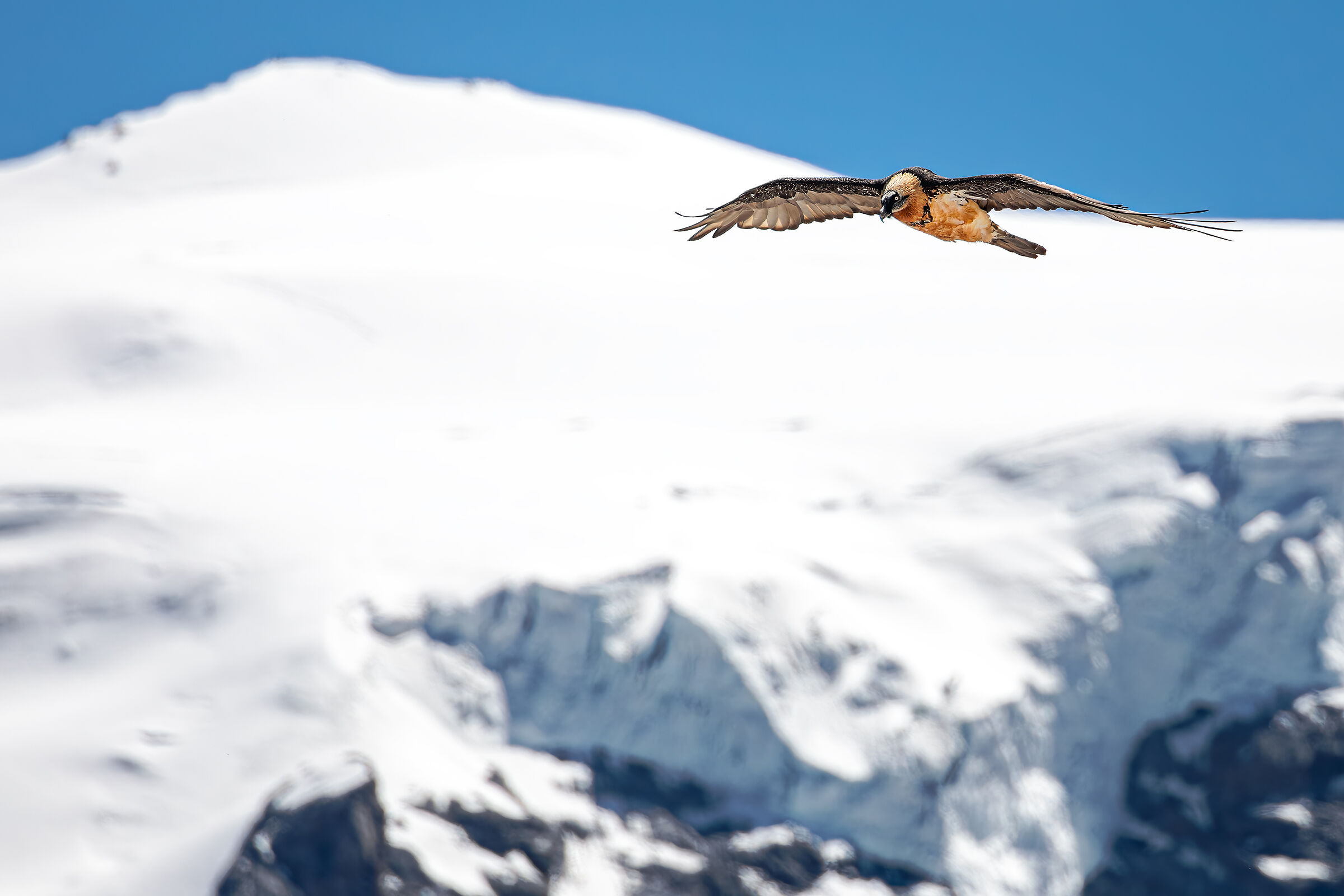 Sorvolando i ghiacci