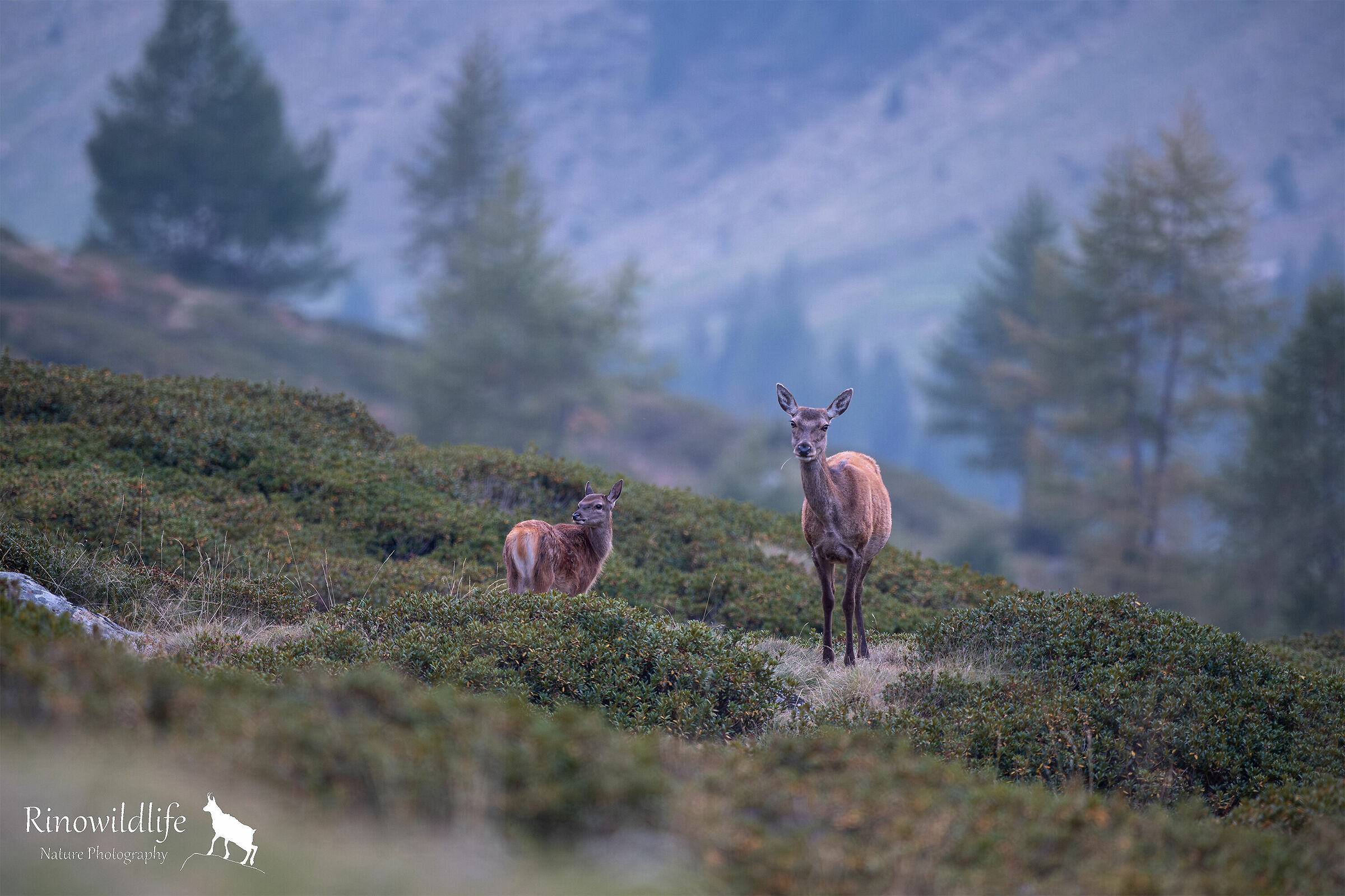A passeggio con mamma
