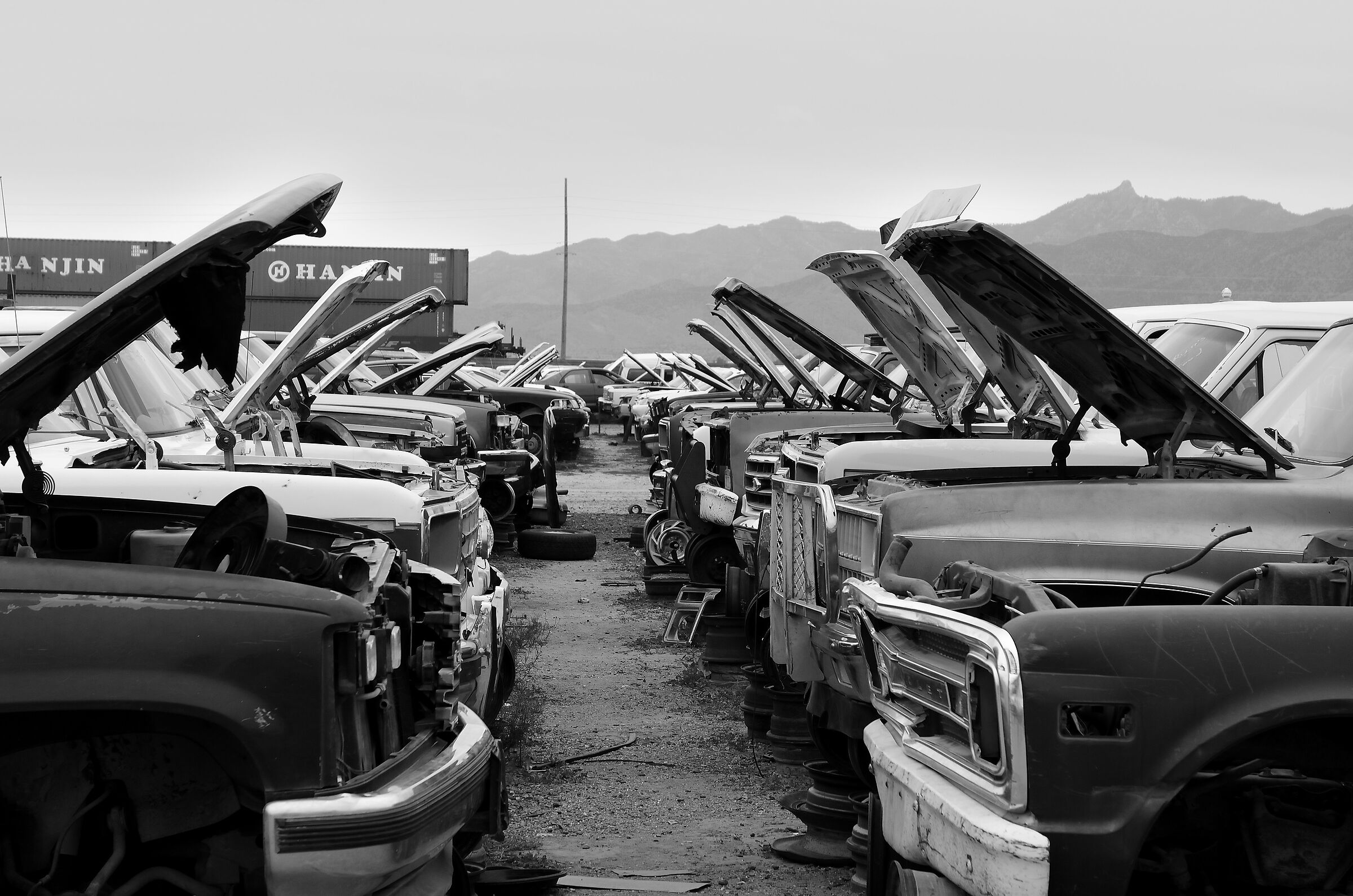 junkyard