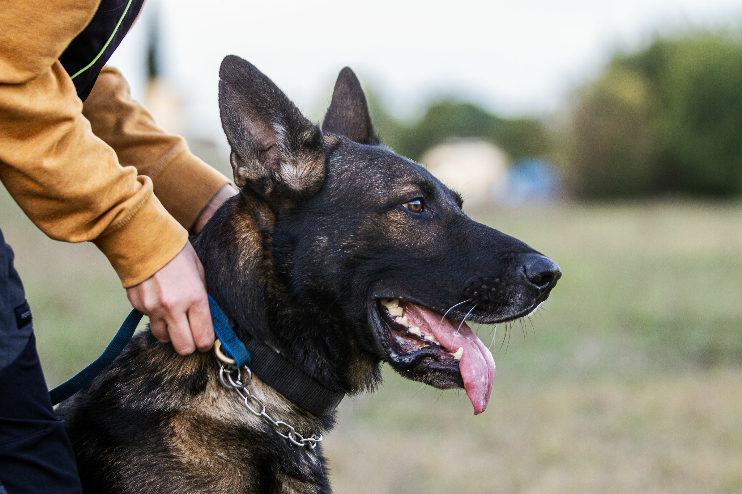 Gun, pronto per la gara