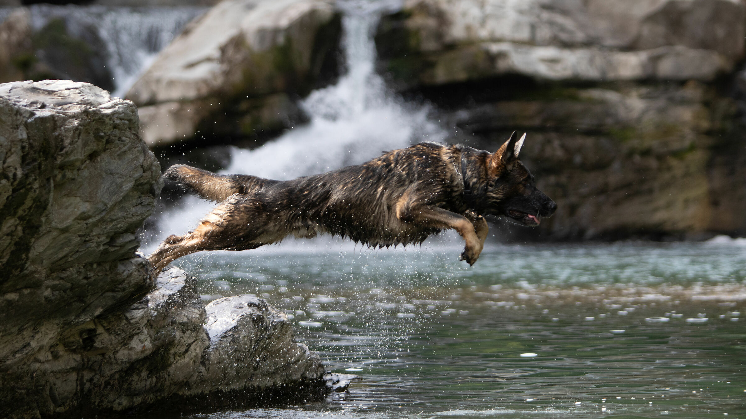 Gun, che si tuffa nel fiume