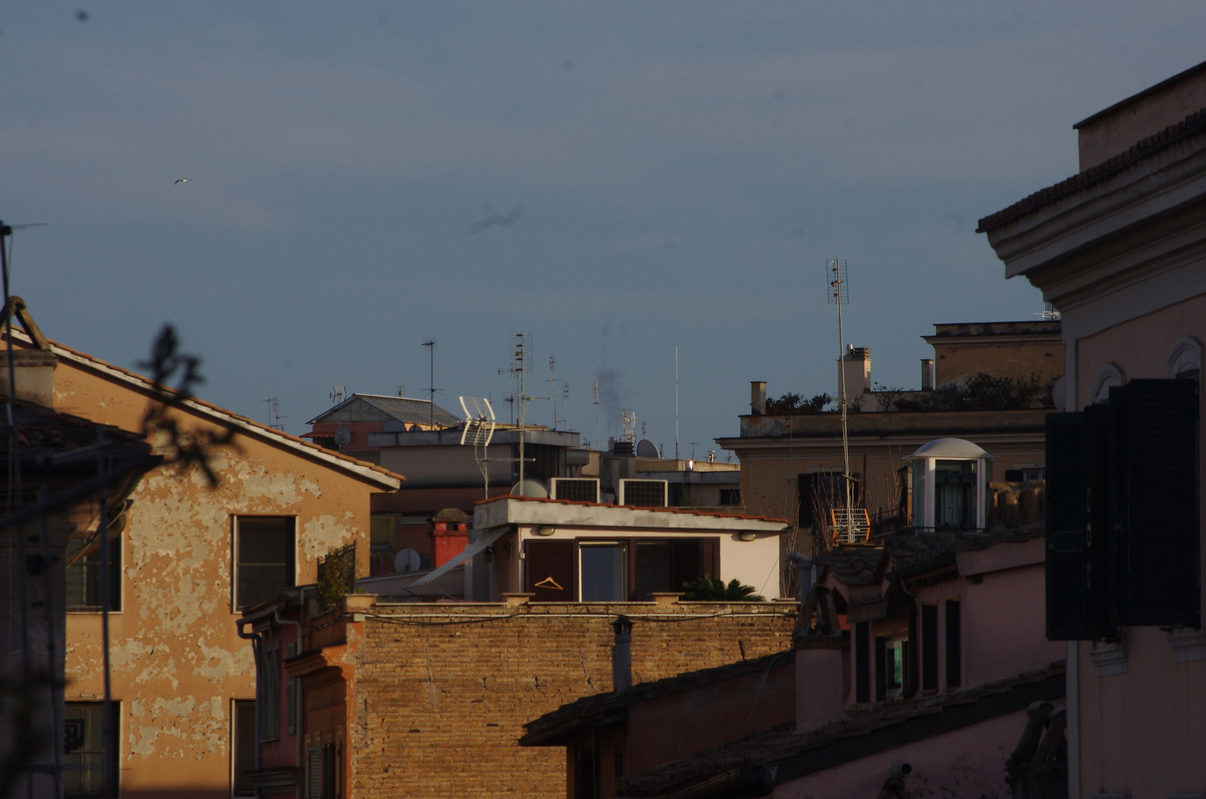 I tetti di Trastevere