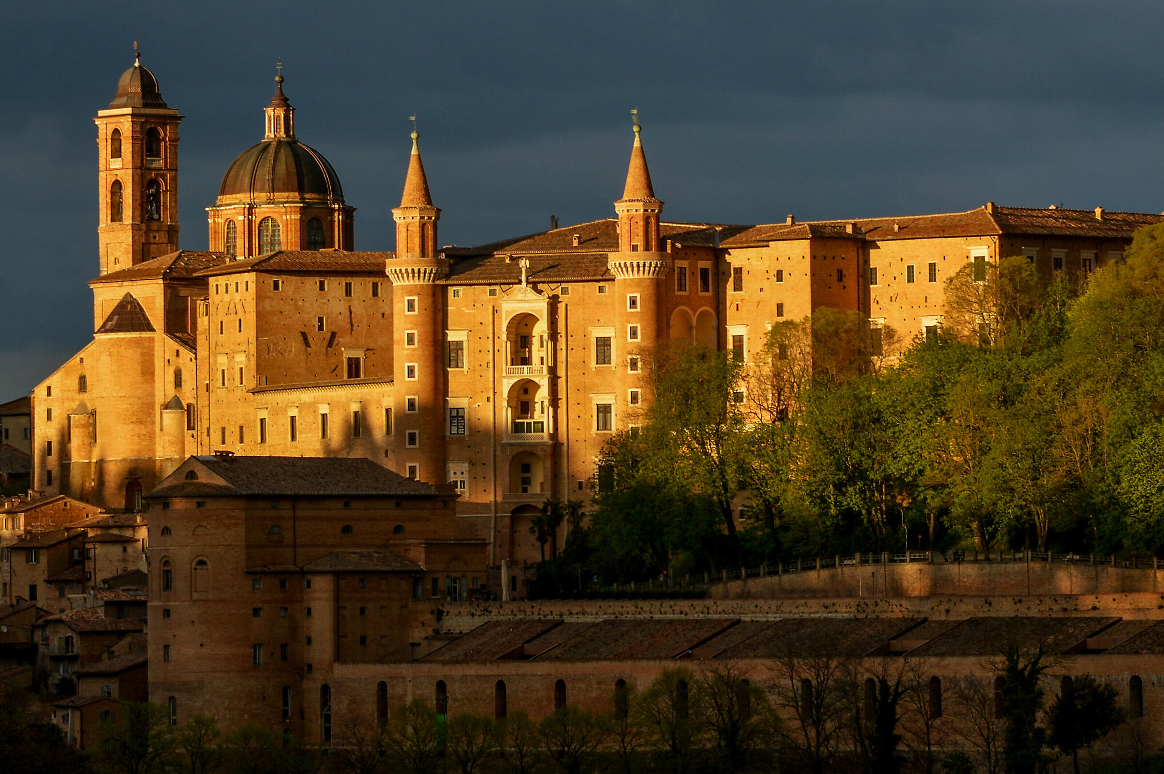 la luce di Urbino.