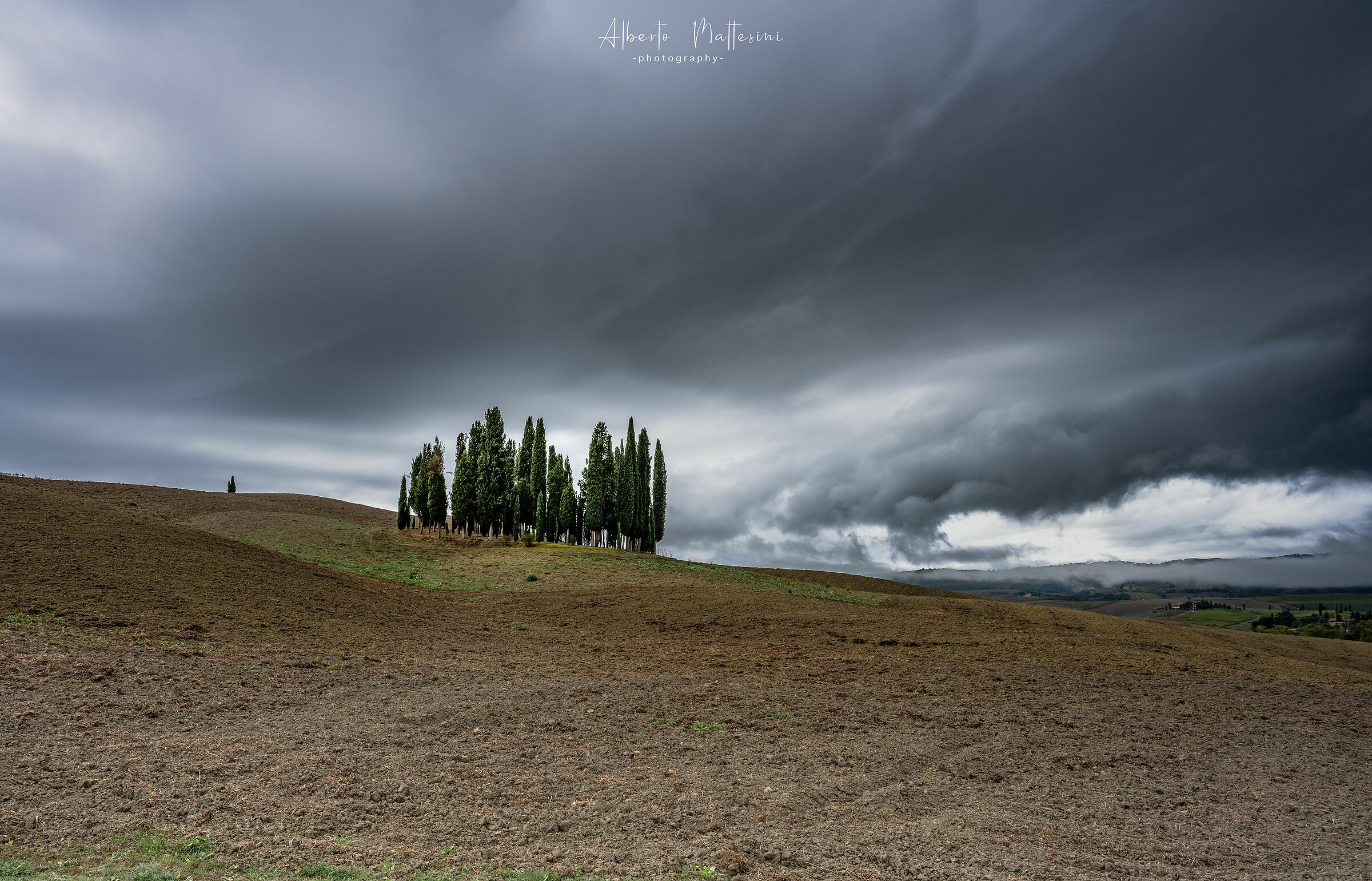 The cypresses of the Val d'Orcio