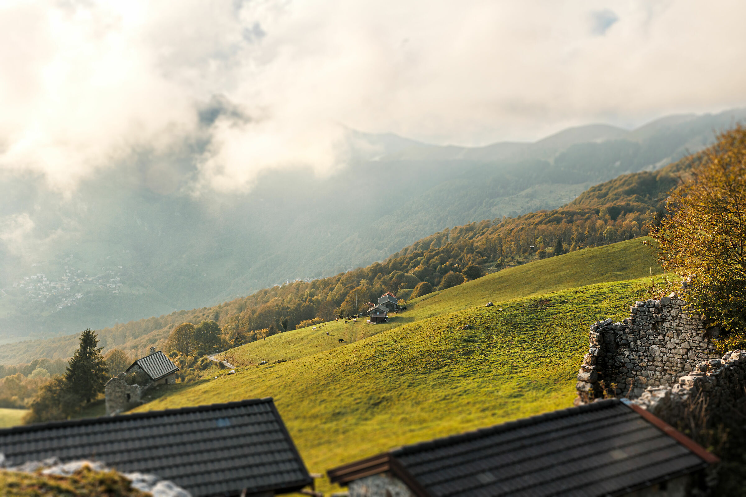 View from the Three Beech Trees of Fuipiano