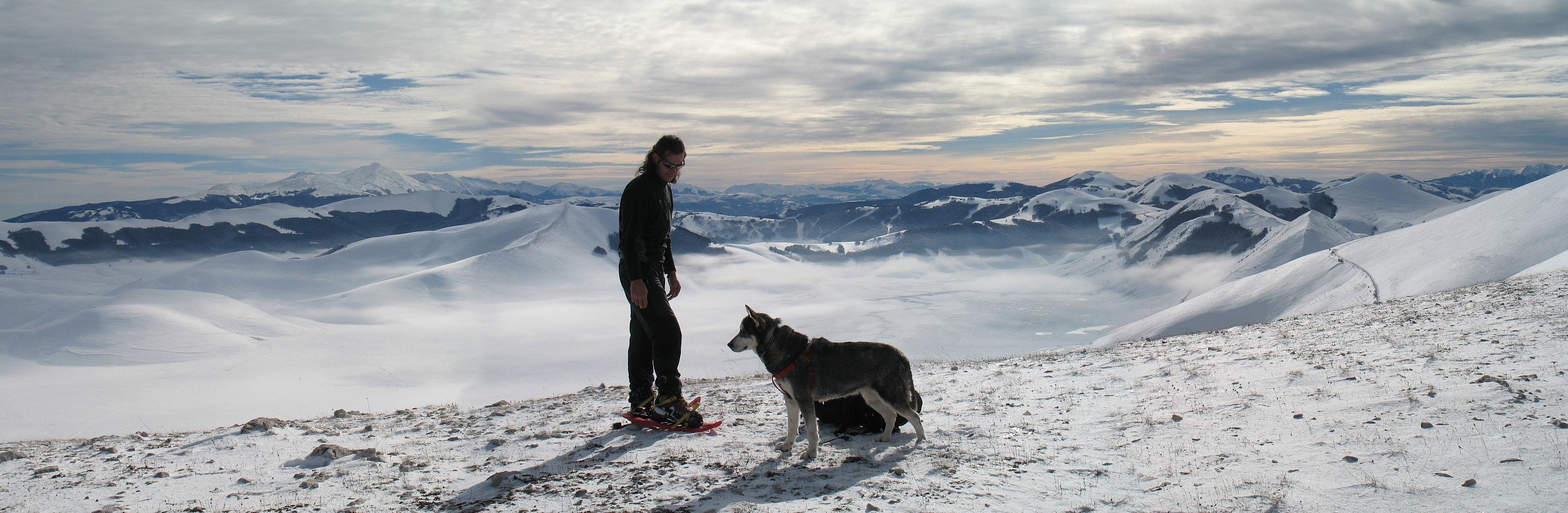 The faithful friend and nature
