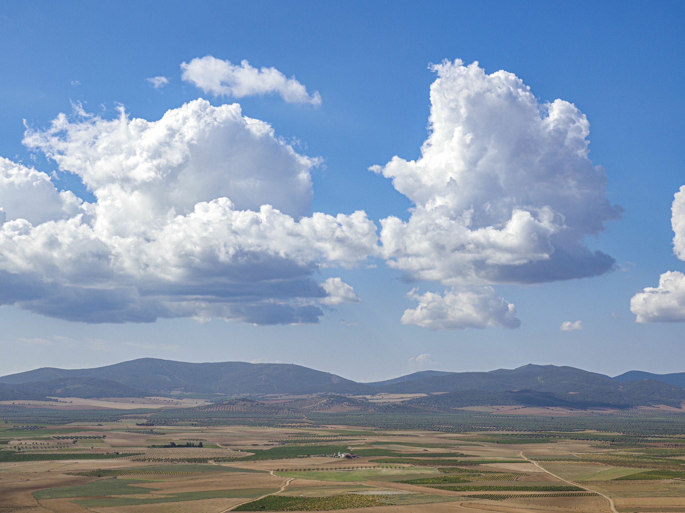 View of La Mancha