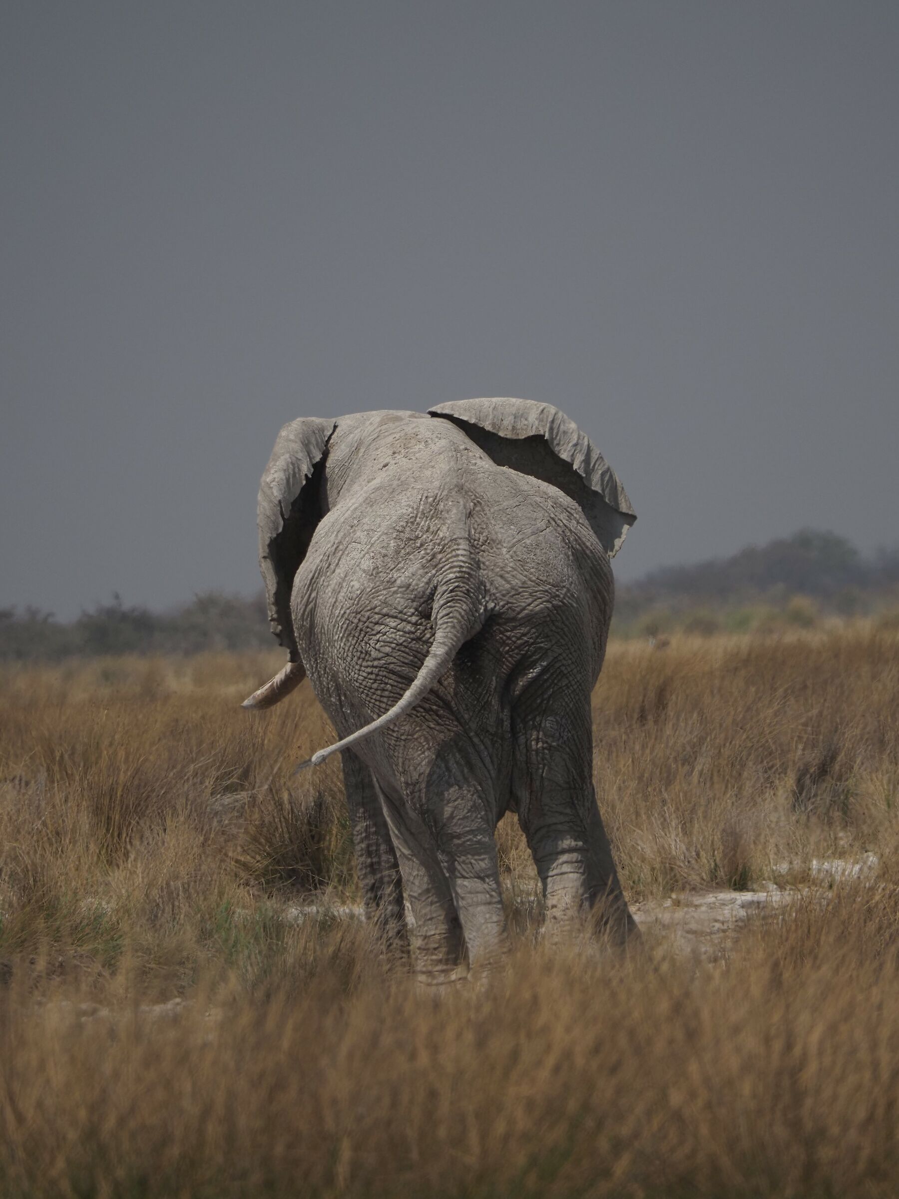Straight ahead, then the second on the left...
