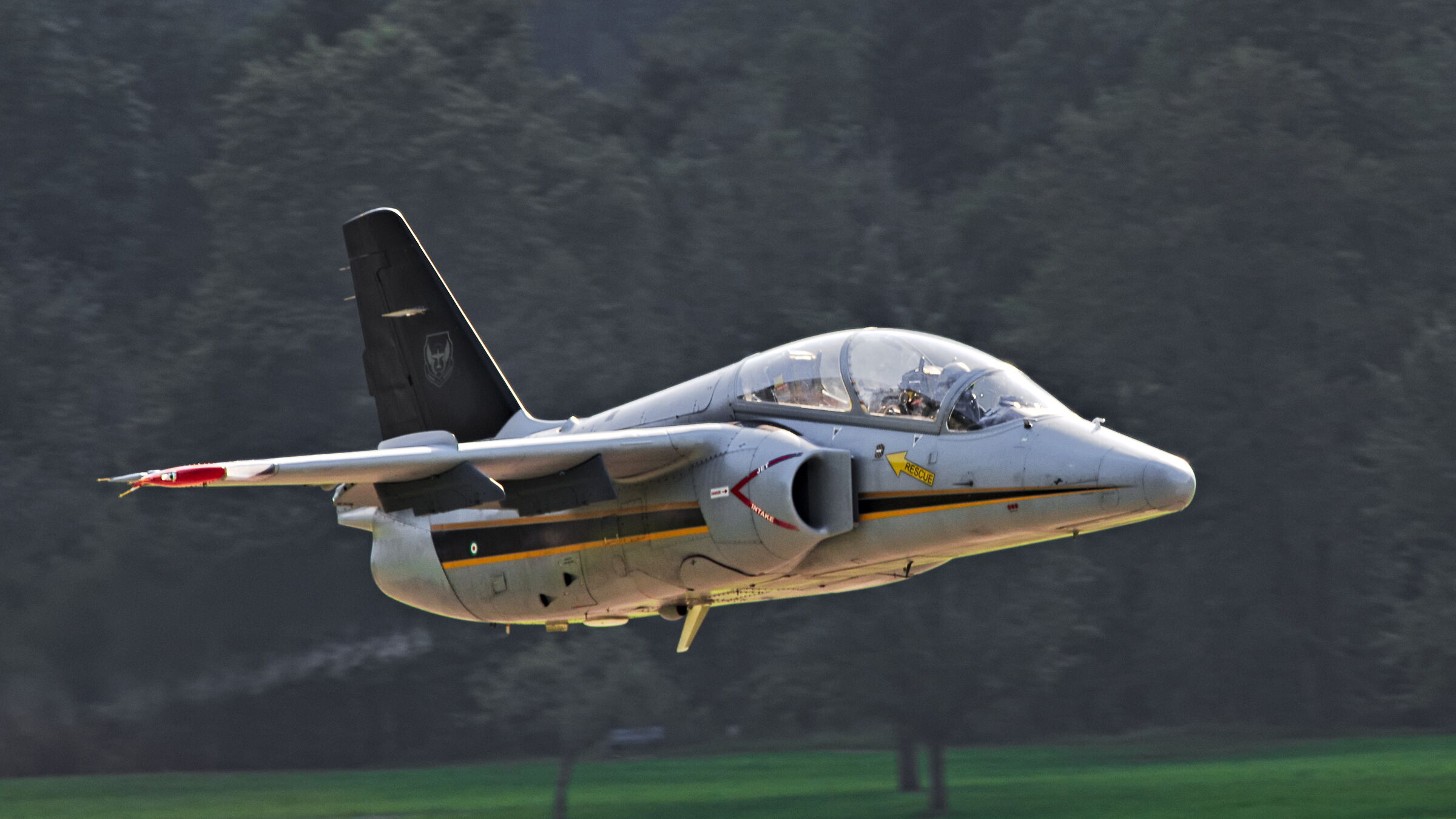 SIAI-Marchetti S.211