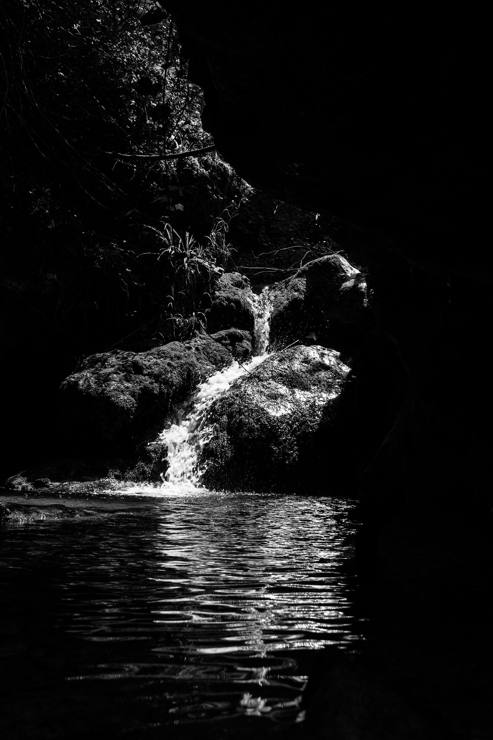 Untitled Photo