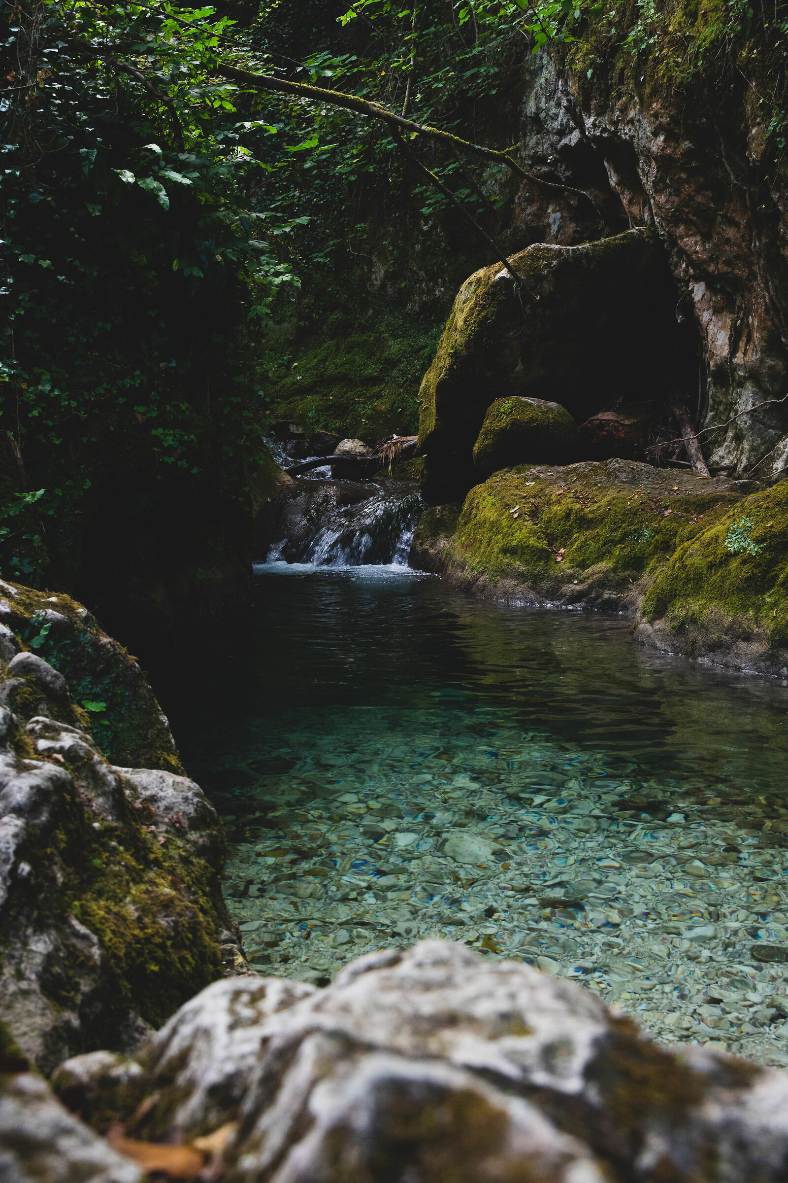 Untitled Photo