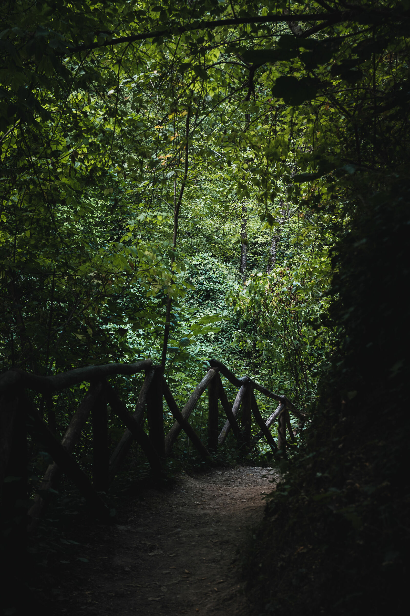 Untitled Photo