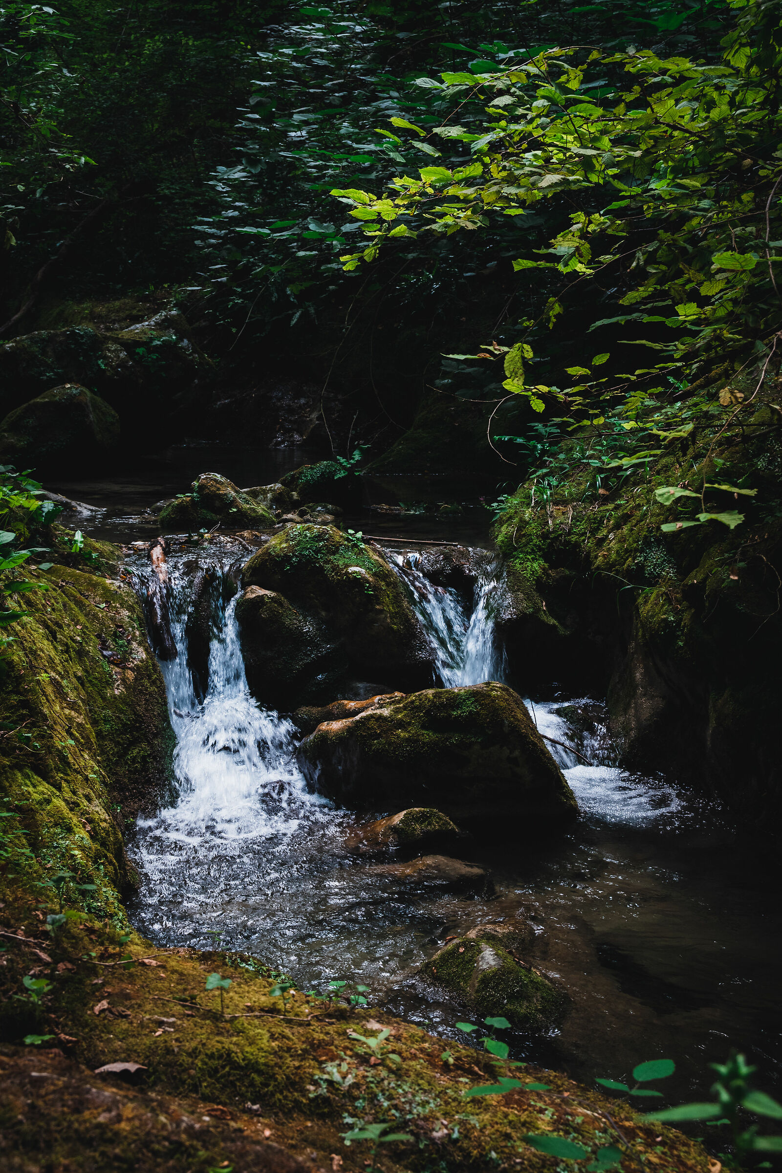 Untitled Photo