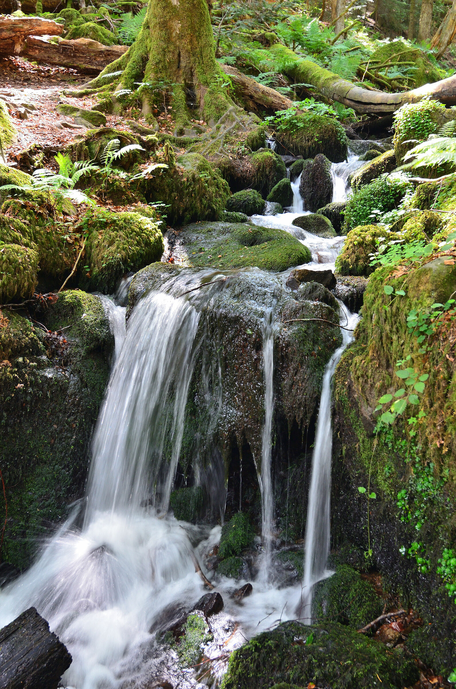 Hirschbach-Wasserfälle