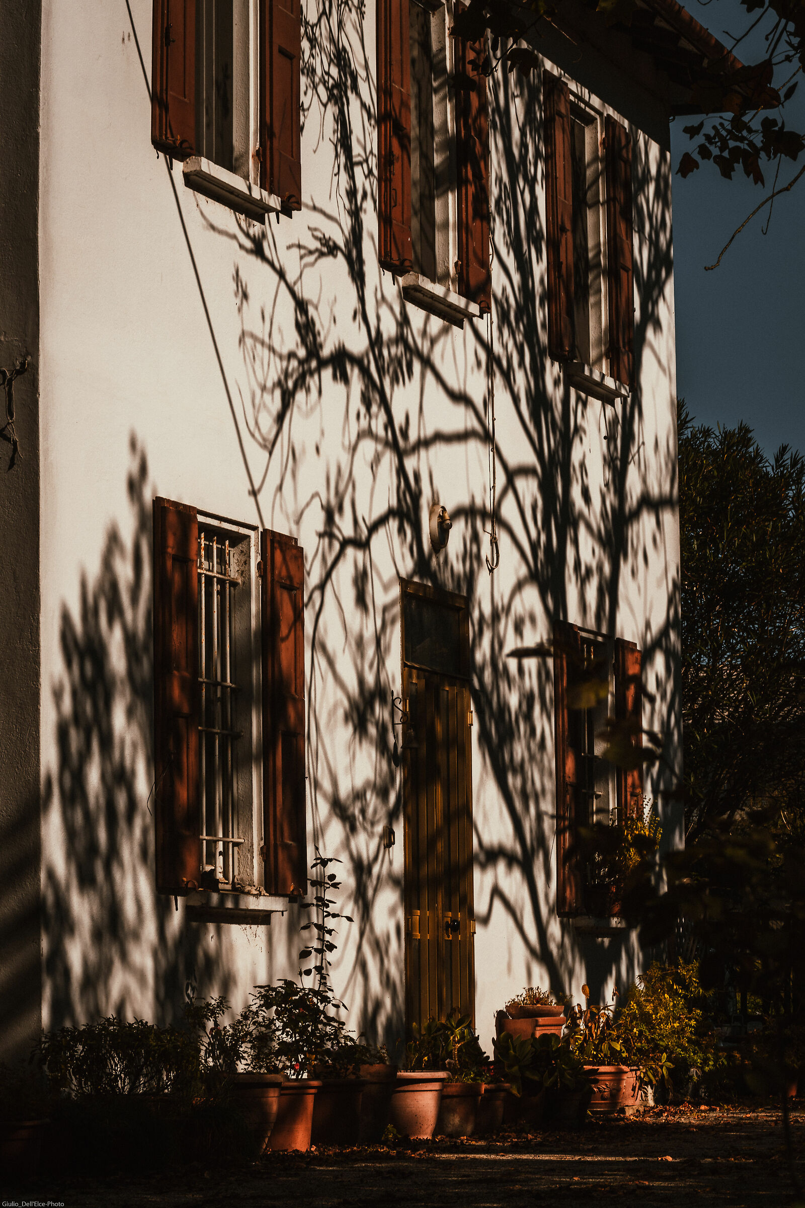 Untitled Photo