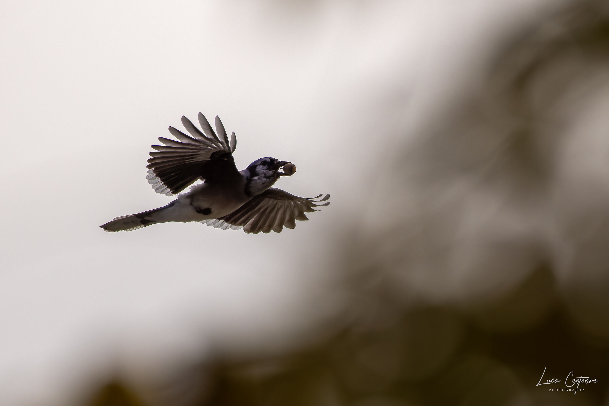 e' tempo di raccolta 2