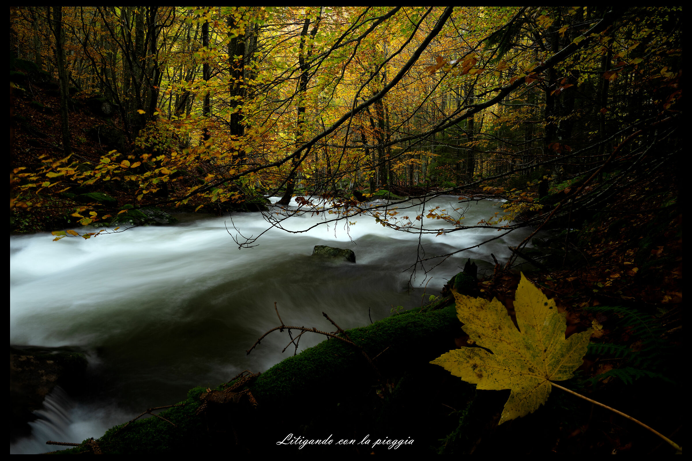 Litigando con la pioggia