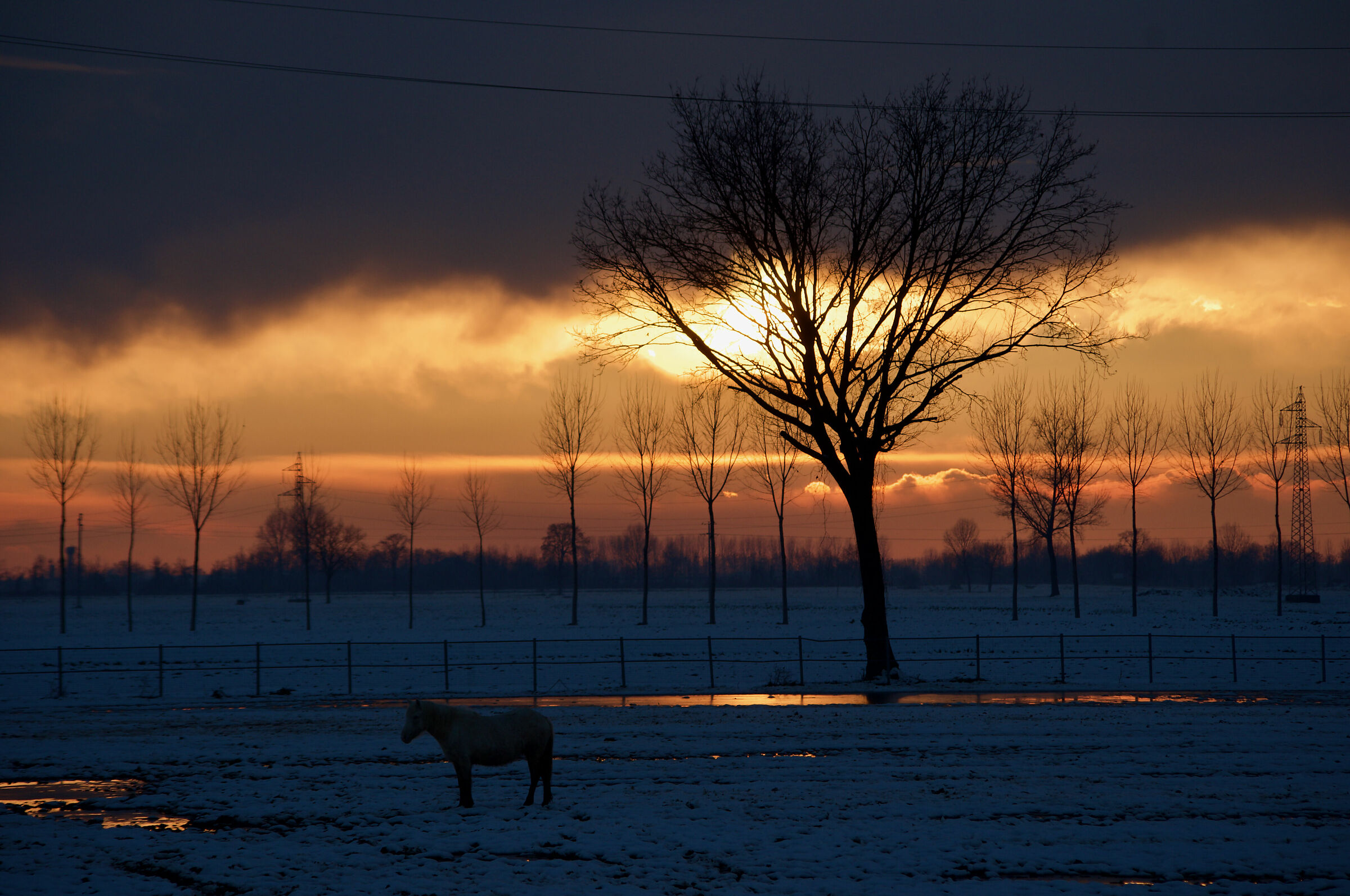 Fino alla fine del mondo