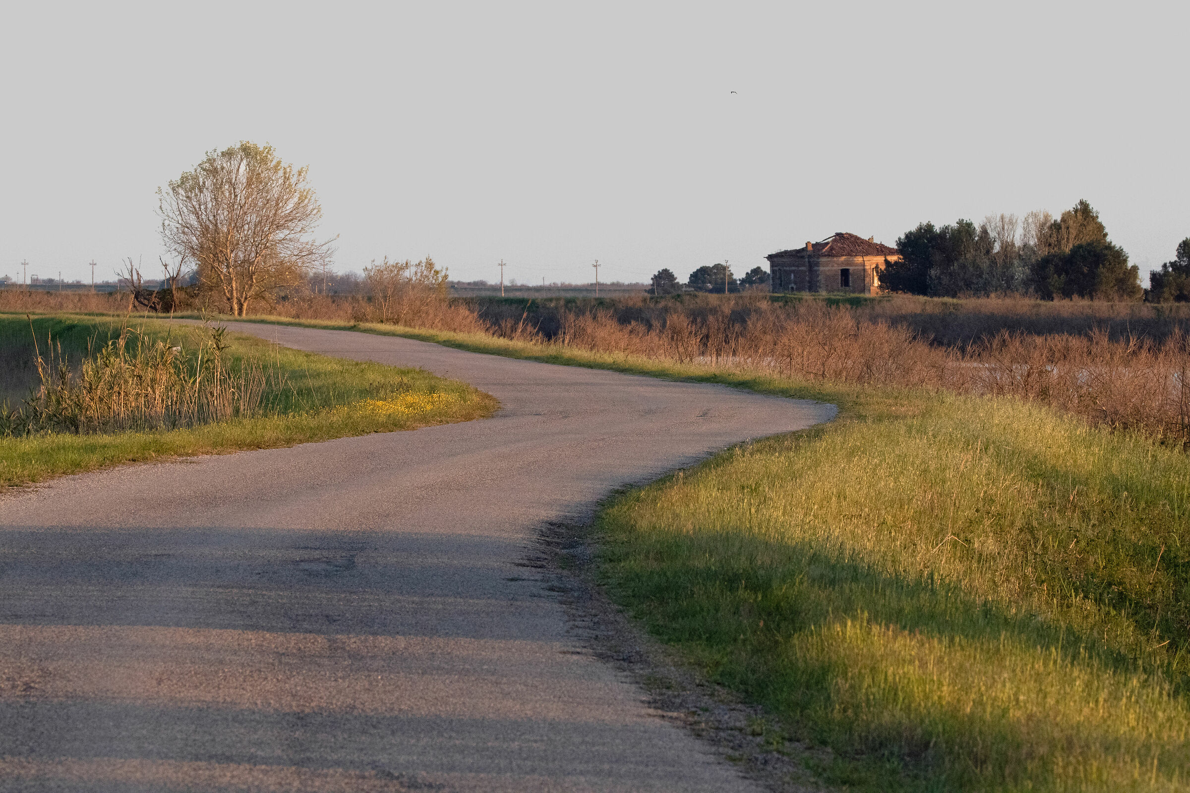 Flat road