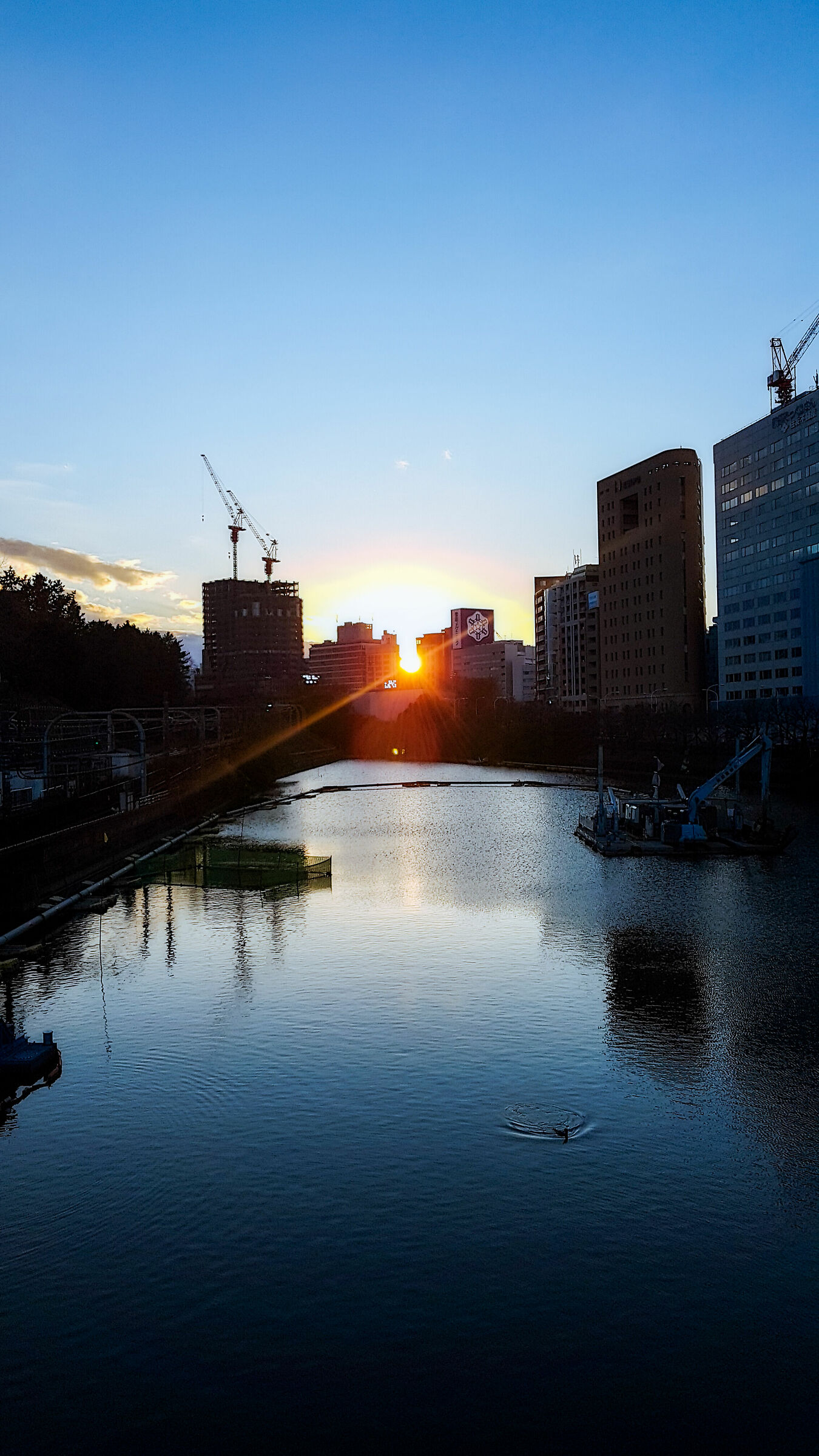 Tramonto tra i grattacieli di Tokyo
