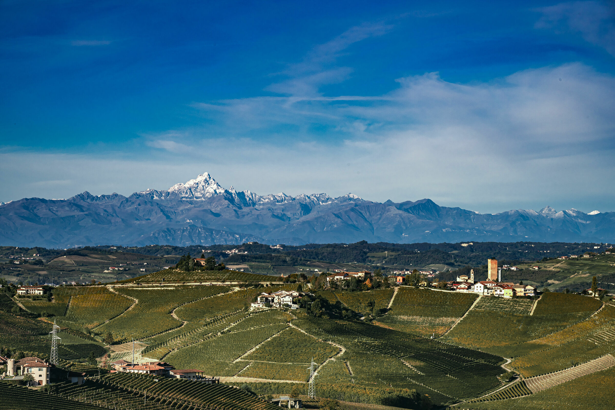 Barbaresco