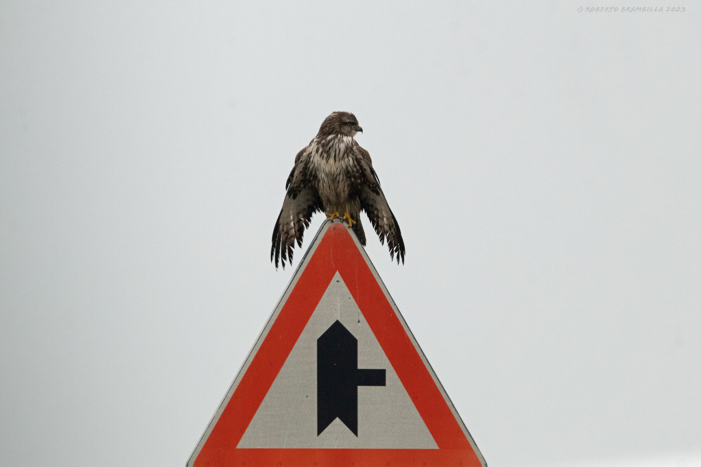 I imitate the sign.......