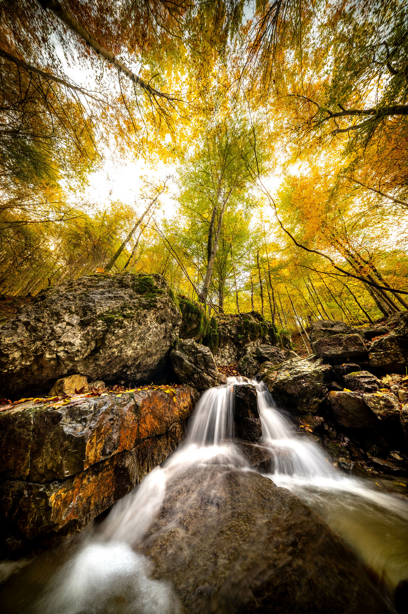 The golden season 2.0