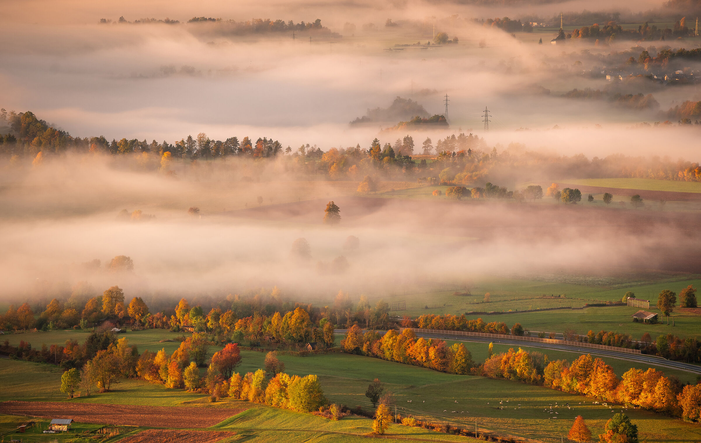Autumn mist