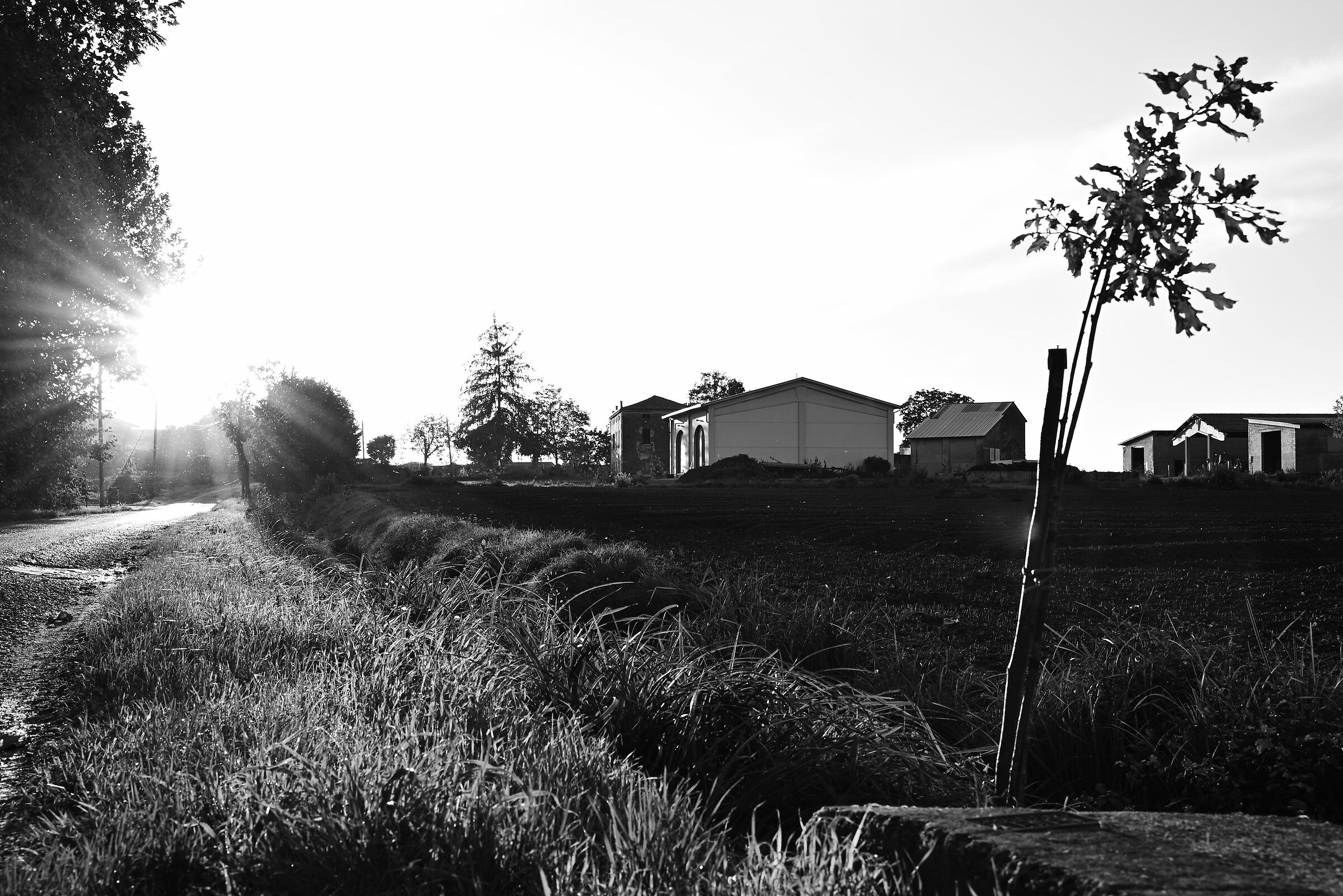 campagna mantovana