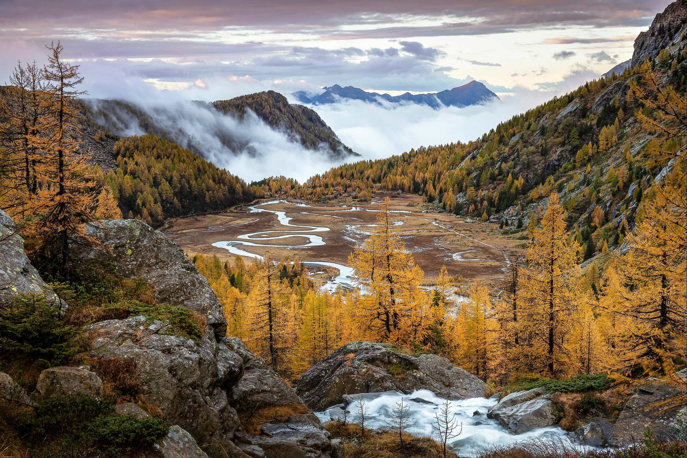 Predarossa in veste autunnale