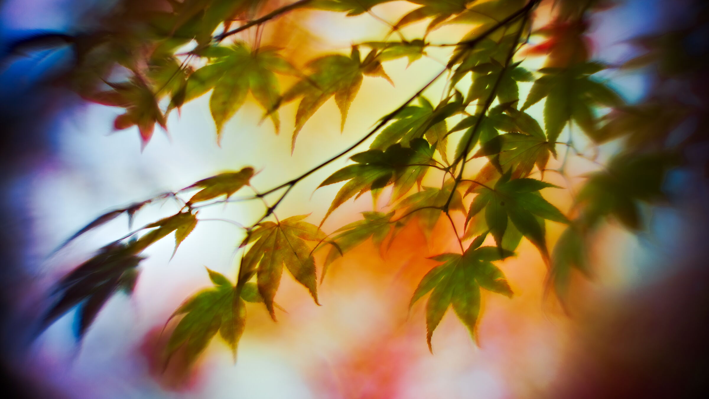 A very bright autumn