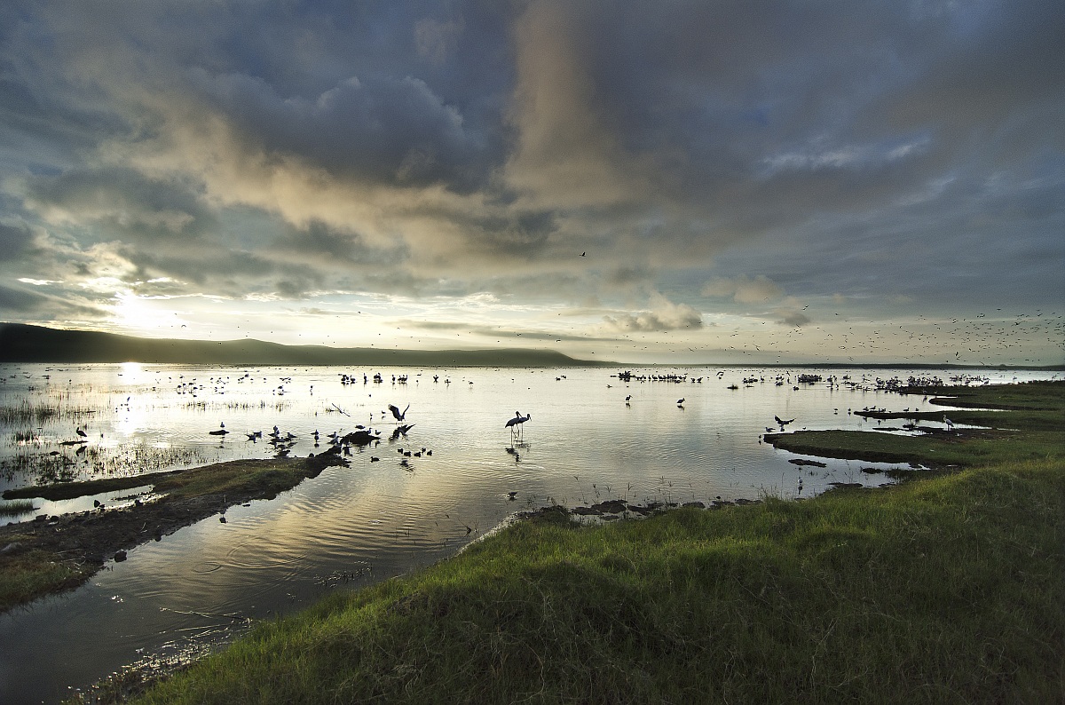 Lake Nakuru