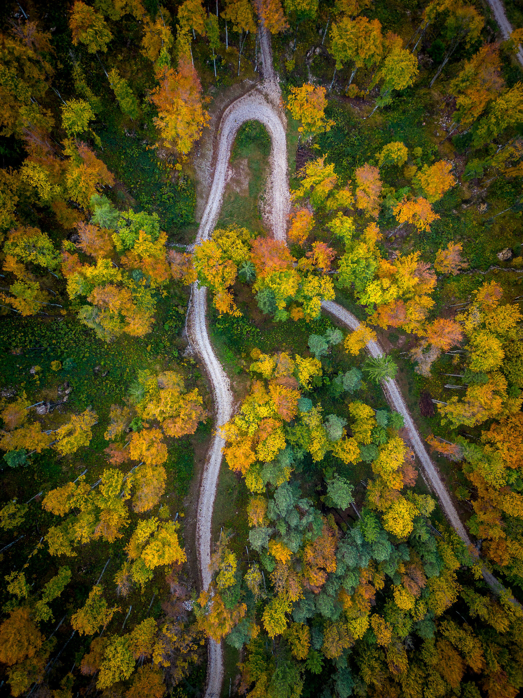 Flying through the air