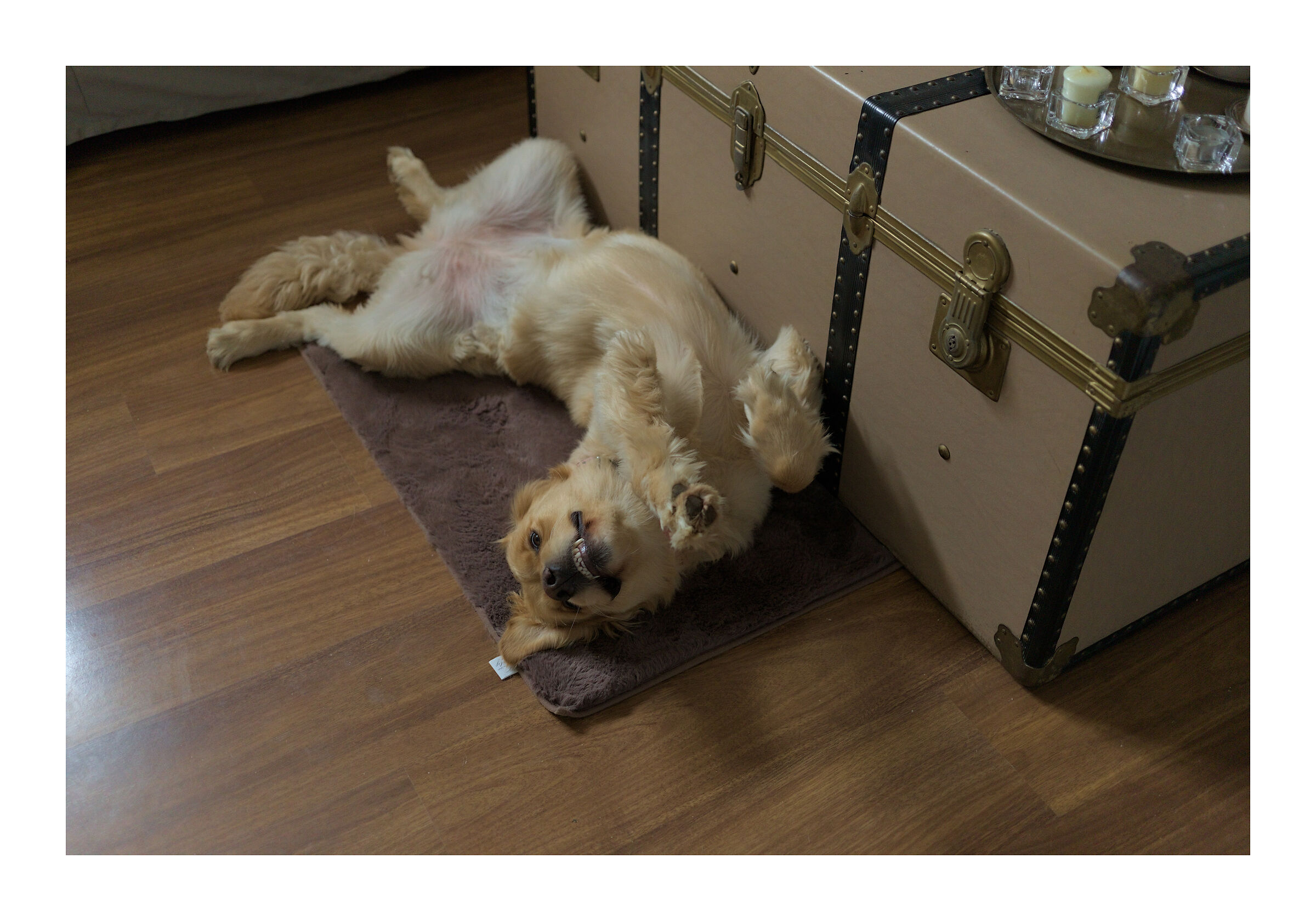 M. #20. Sguardo assassino