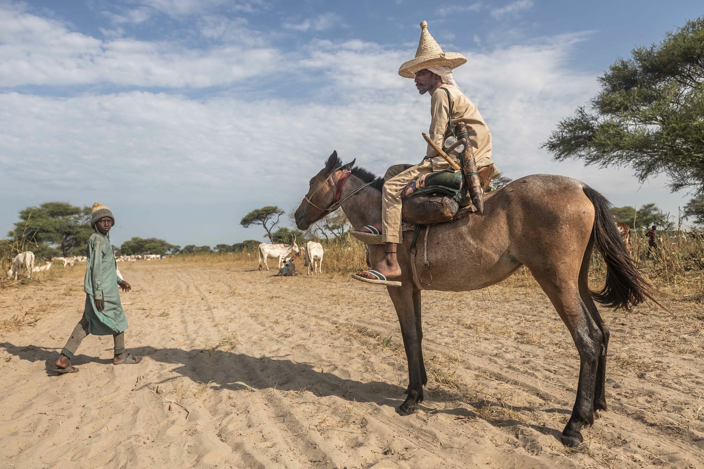 Chadian Herder