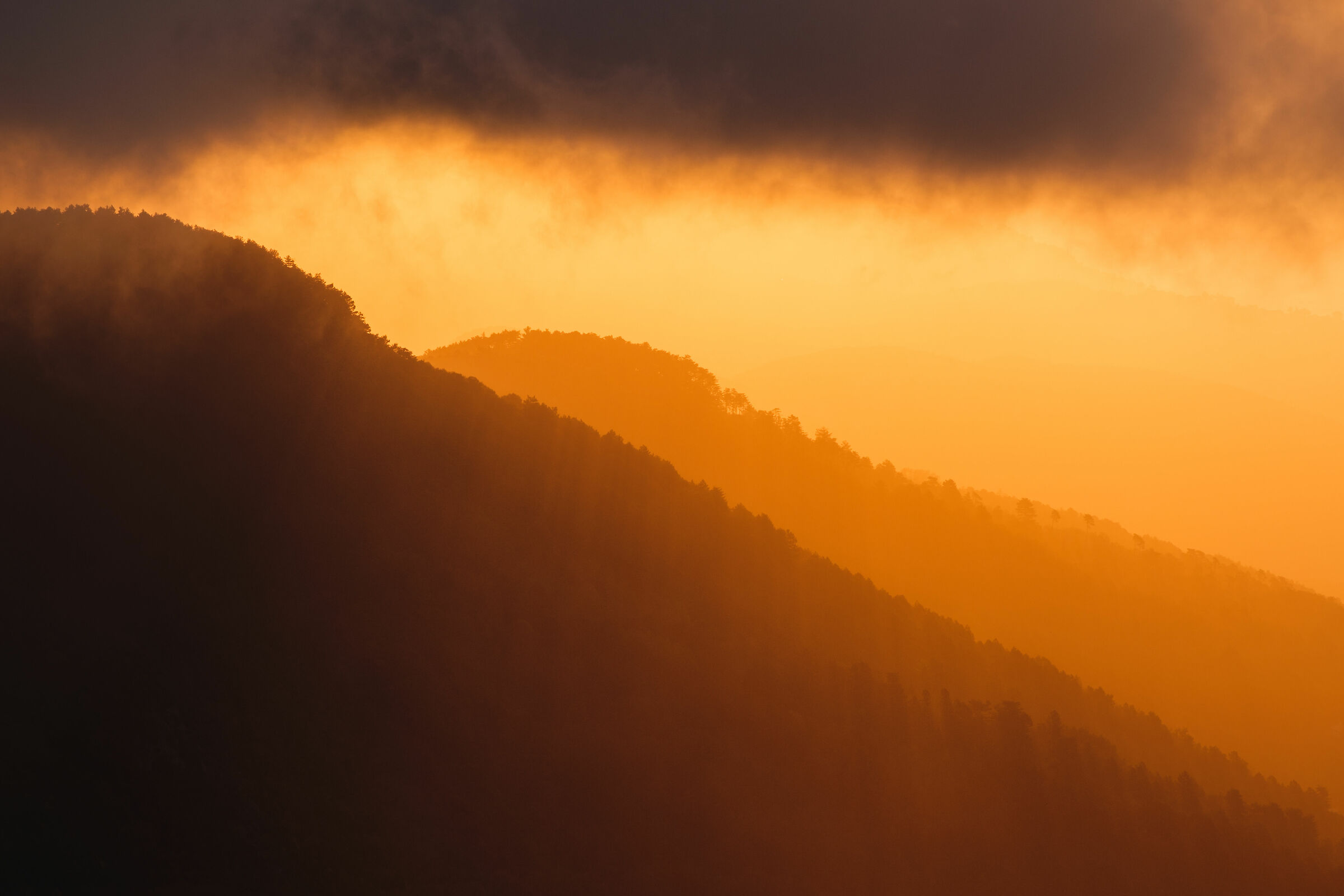 Sovrapposizioni di forme e luce