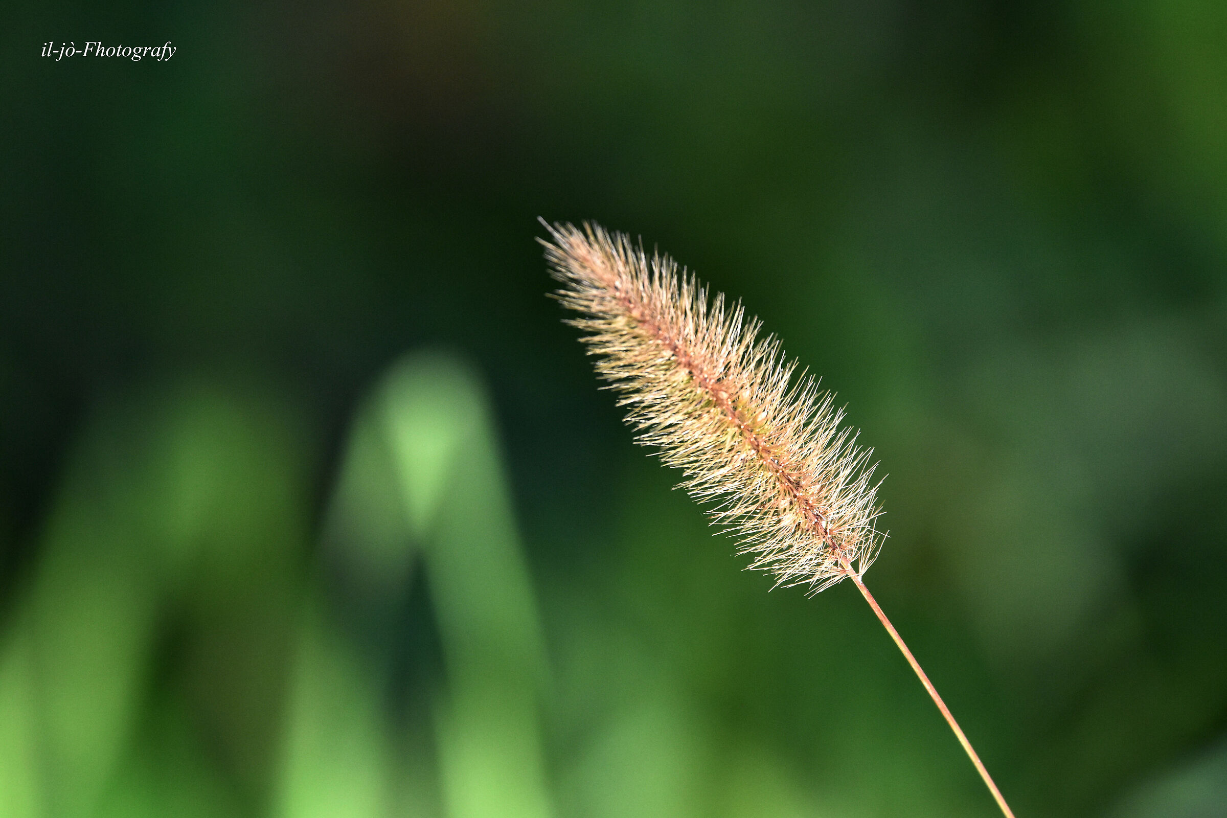 Untitled Photo