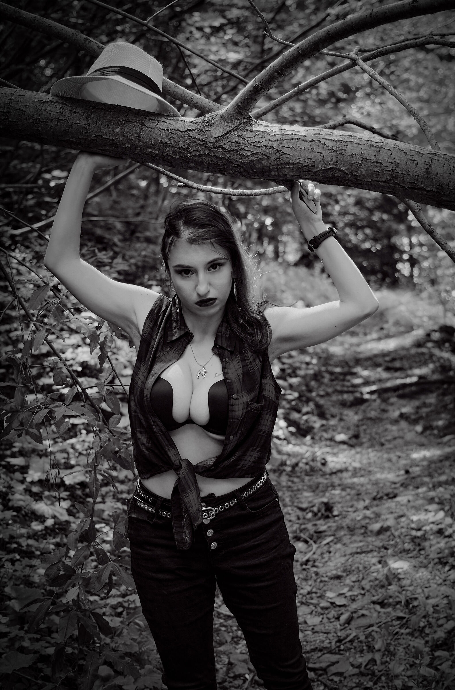 The Forest