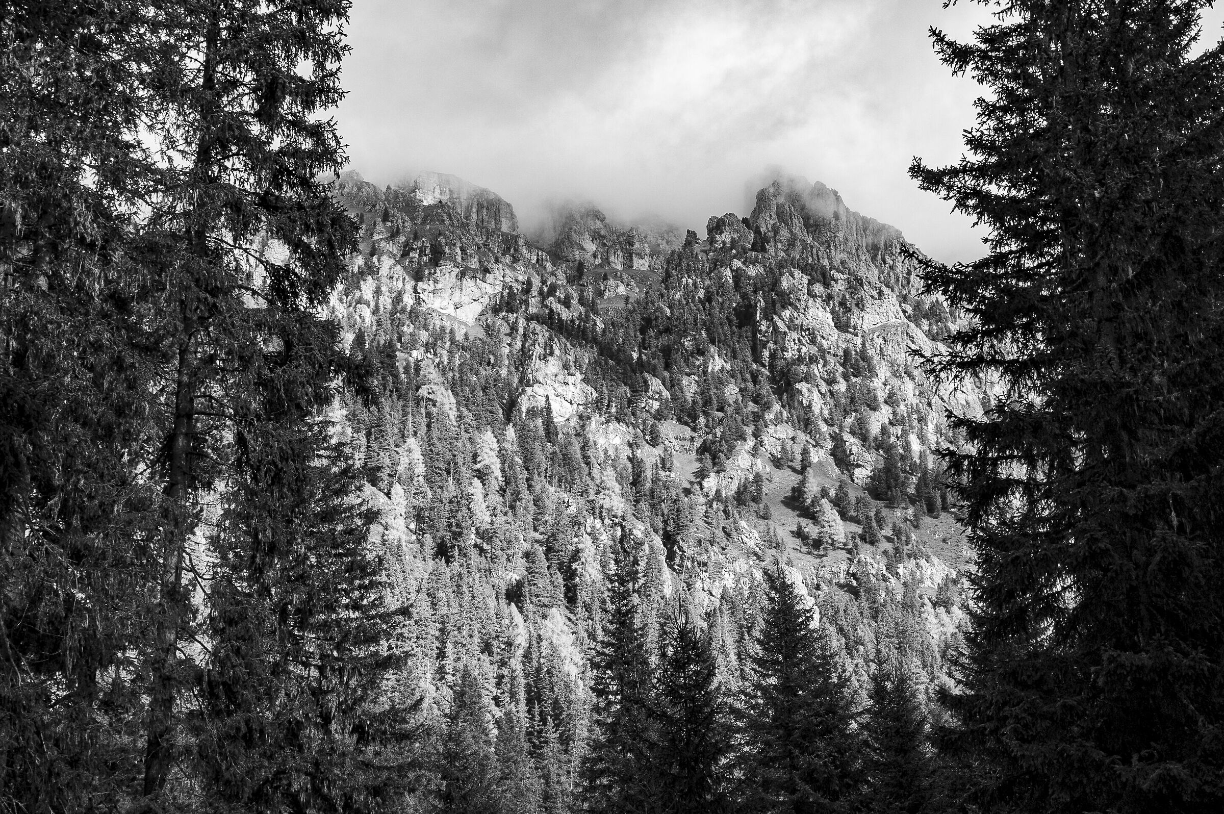 Untitled Photo