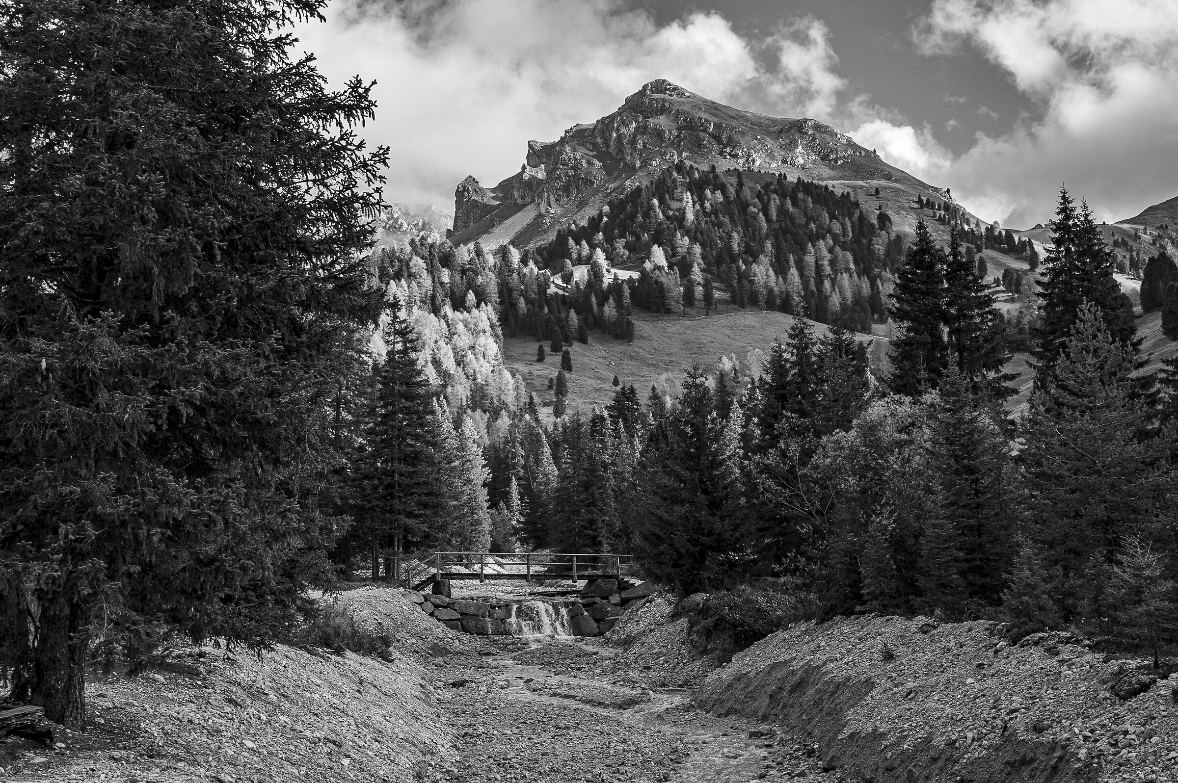 Untitled Photo