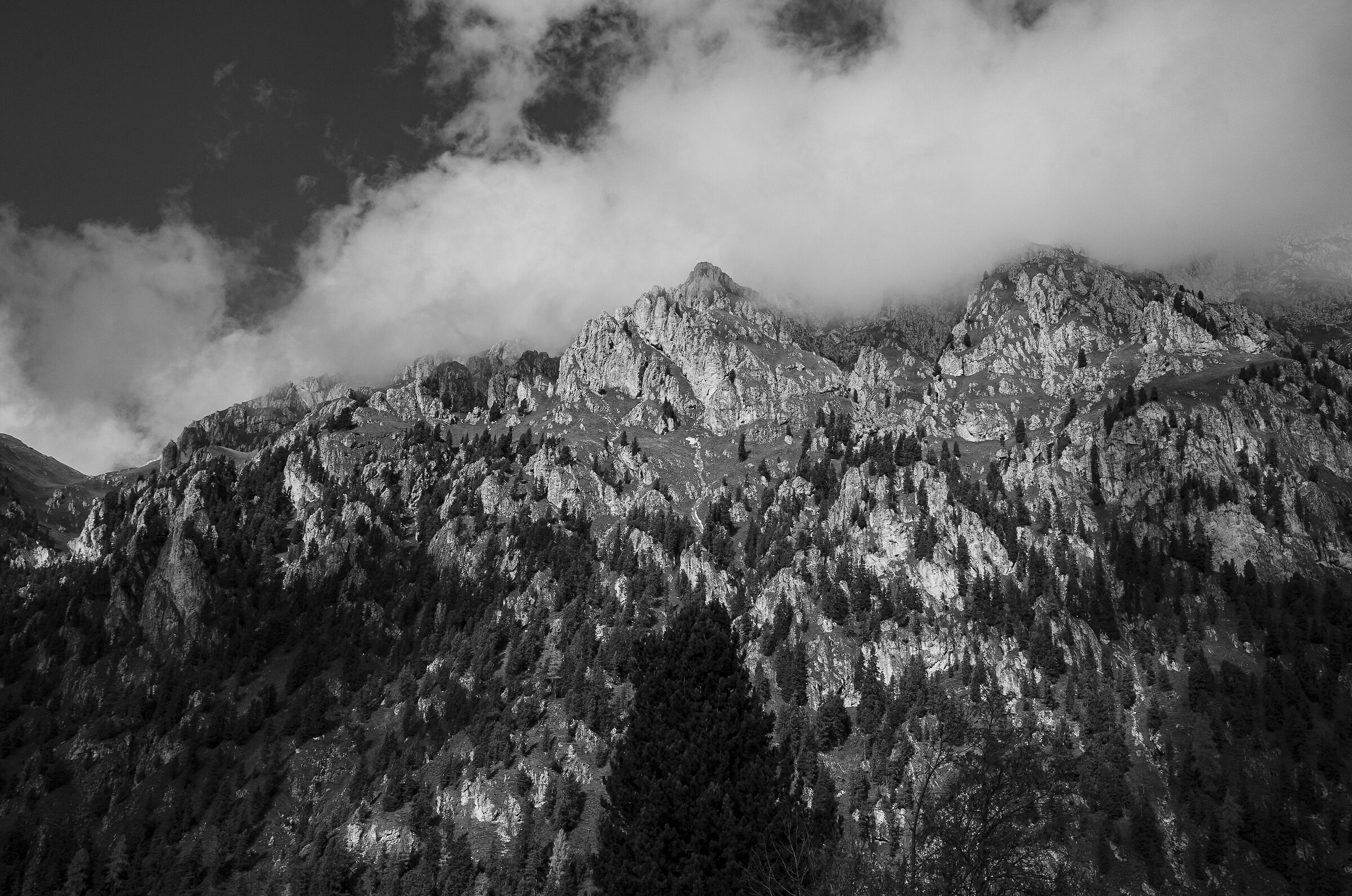 Untitled Photo