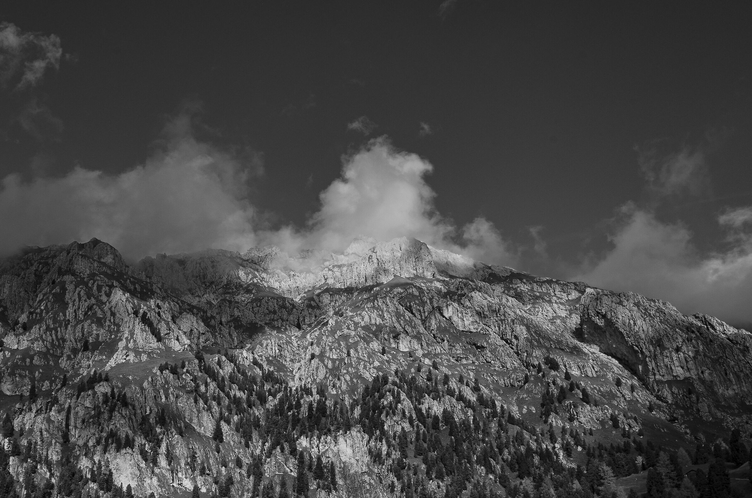Untitled Photo