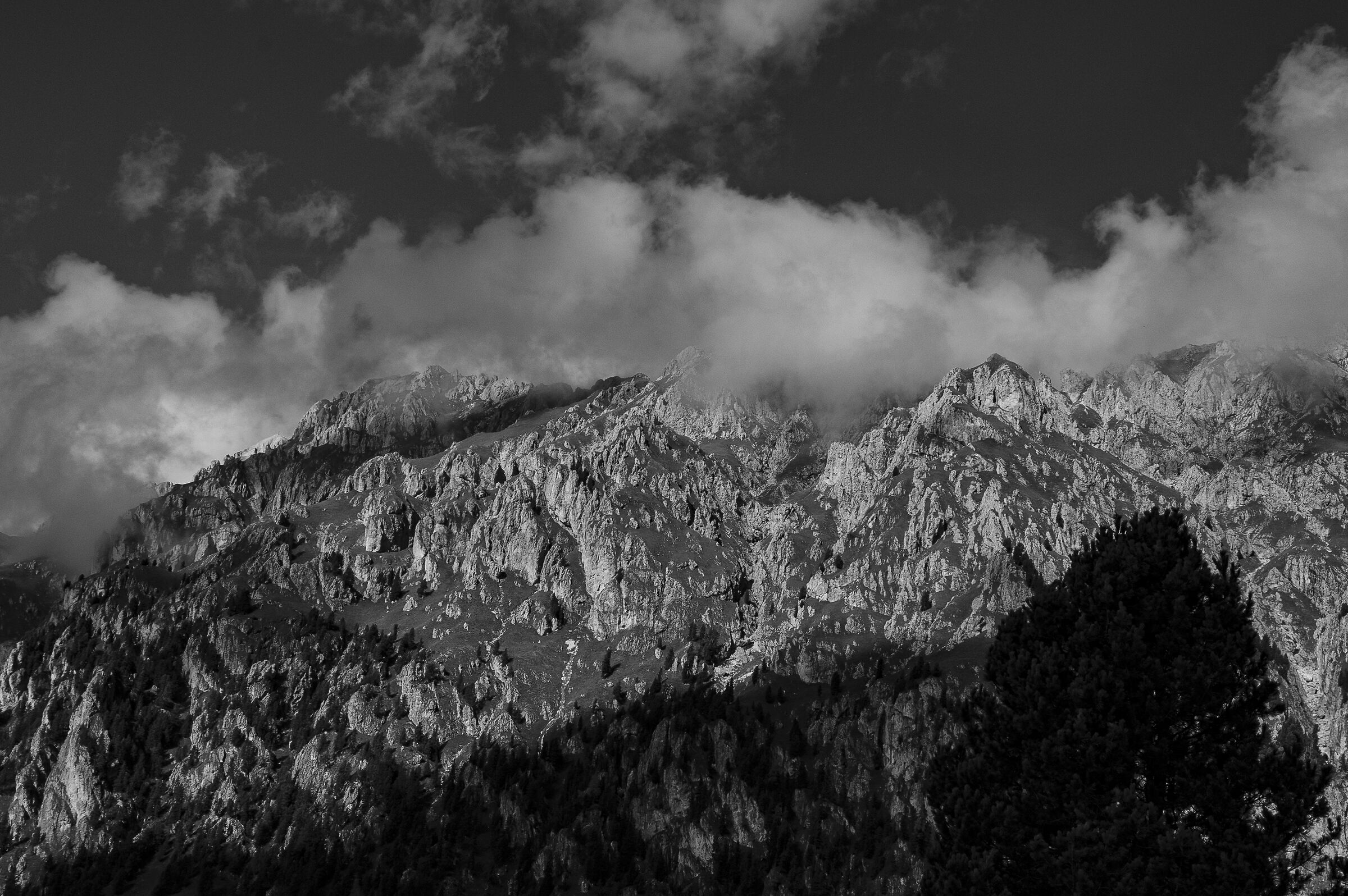 Untitled Photo