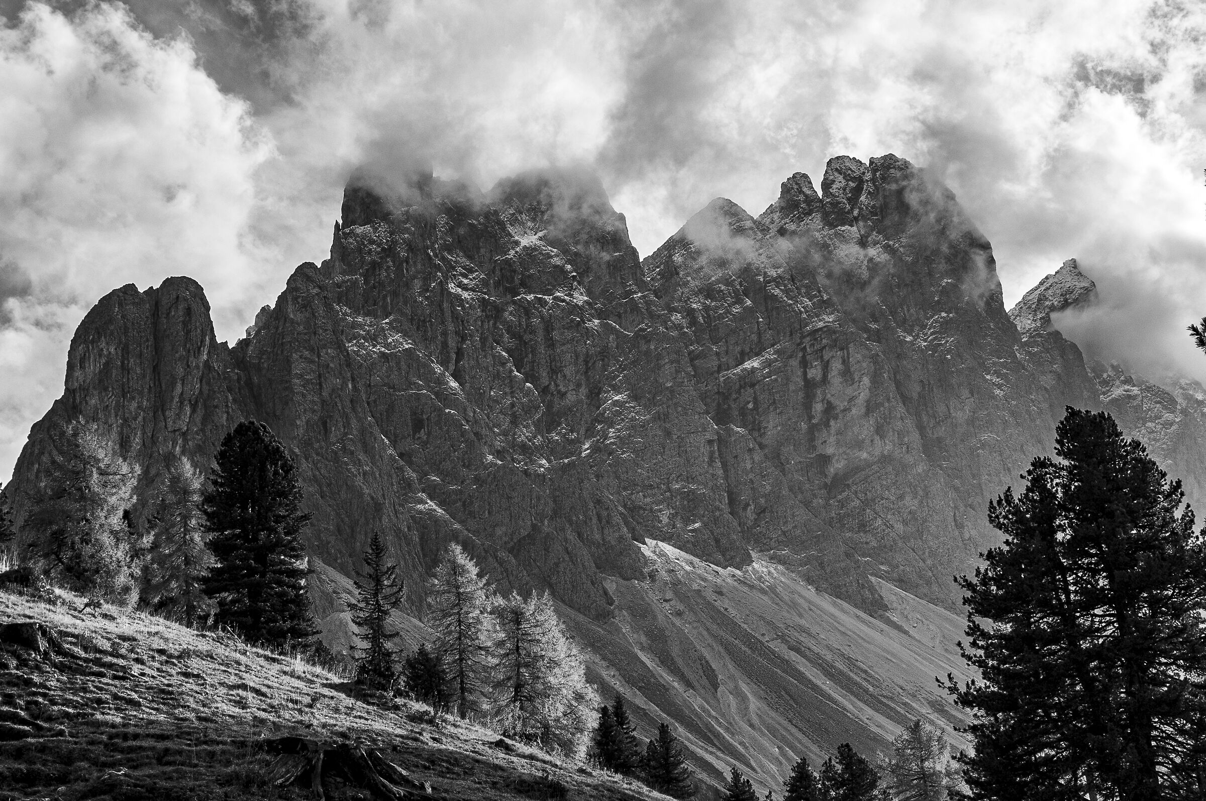 Untitled Photo
