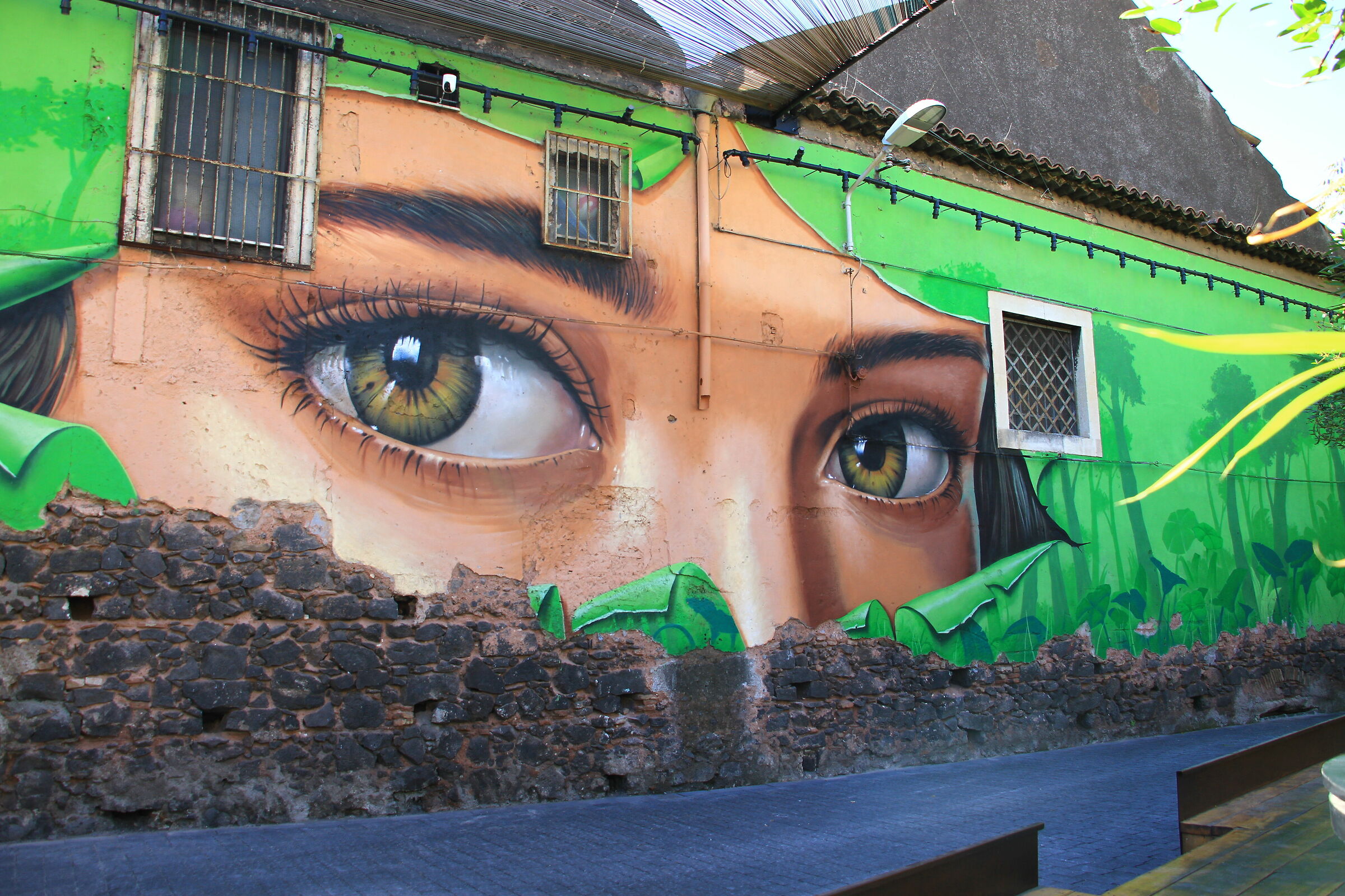 We are being watched